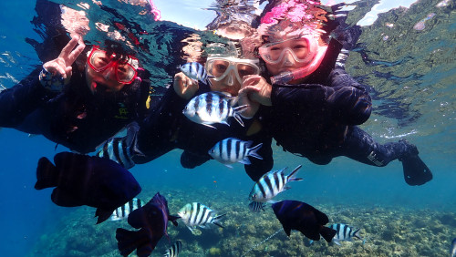 沖縄スノーケル砂辺