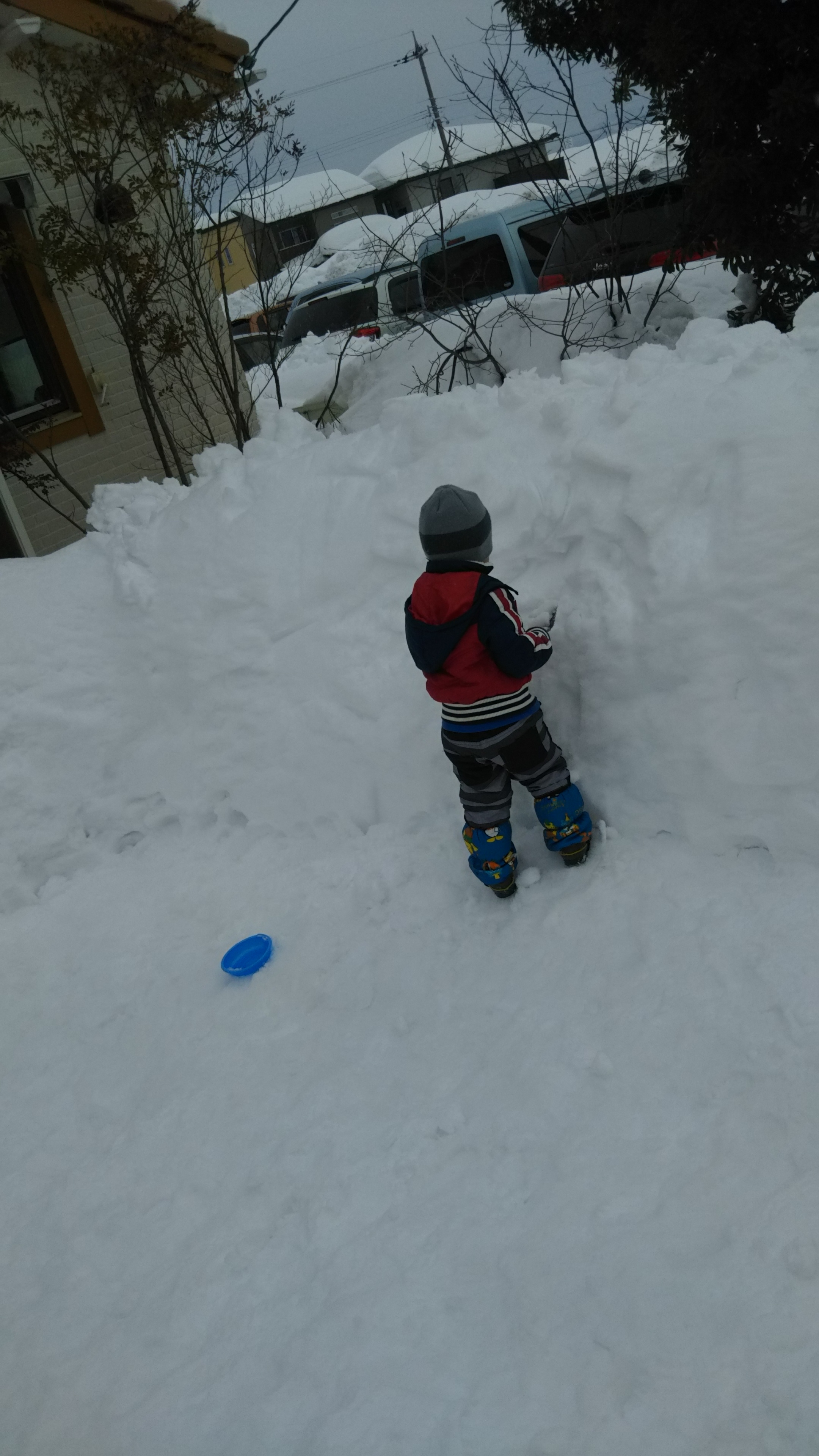 DSC_0264.JPG