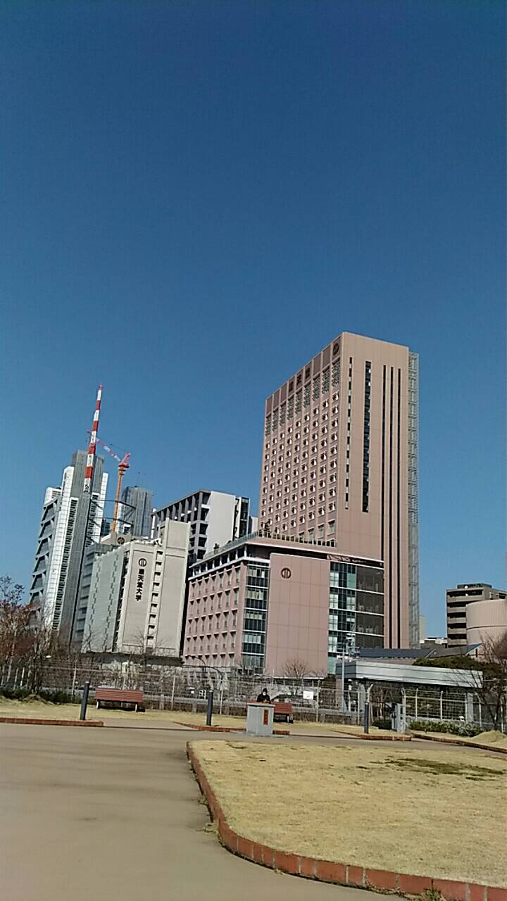 1552785018566.jpg