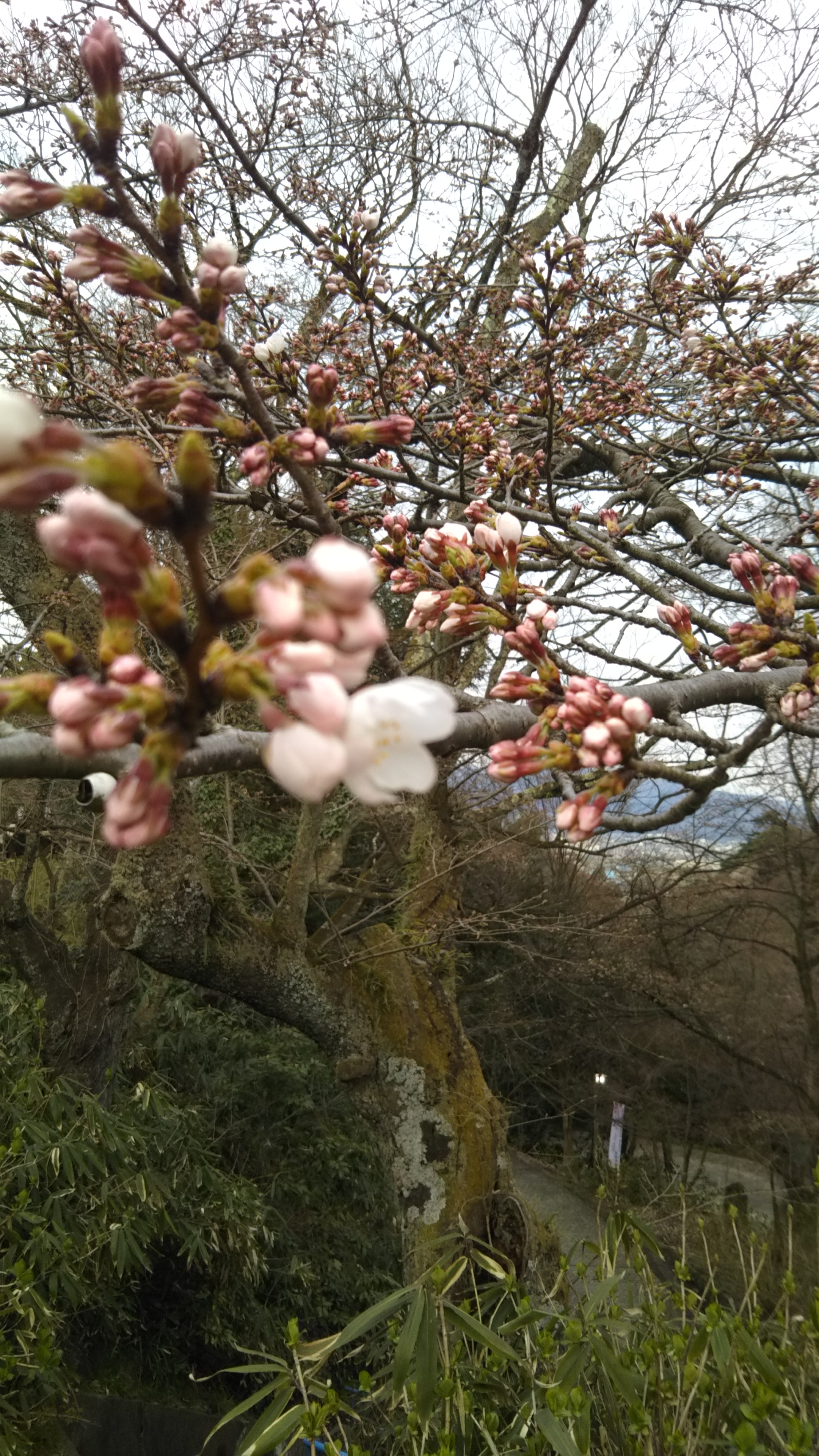 DSC_1027.JPG