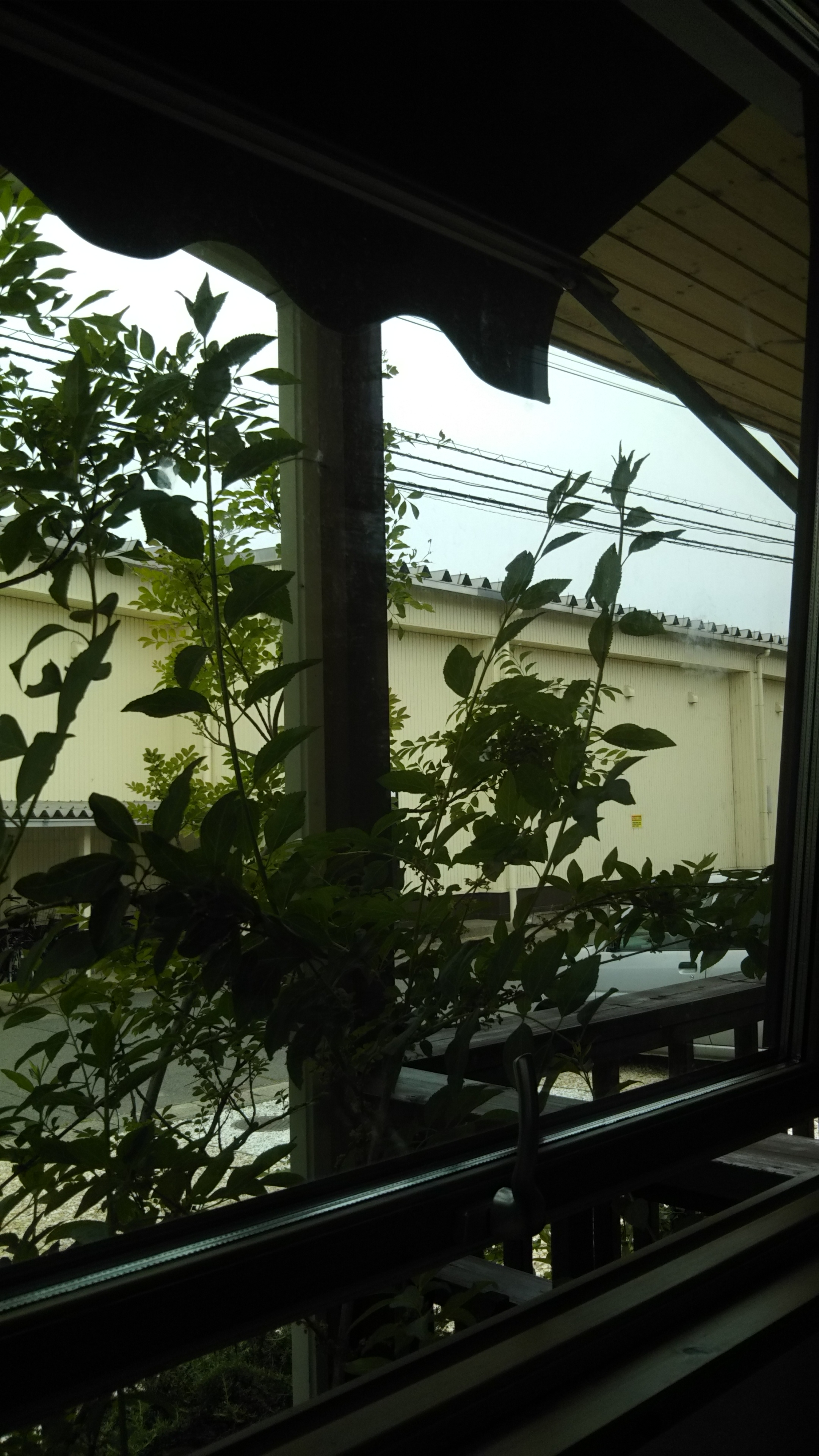 6月