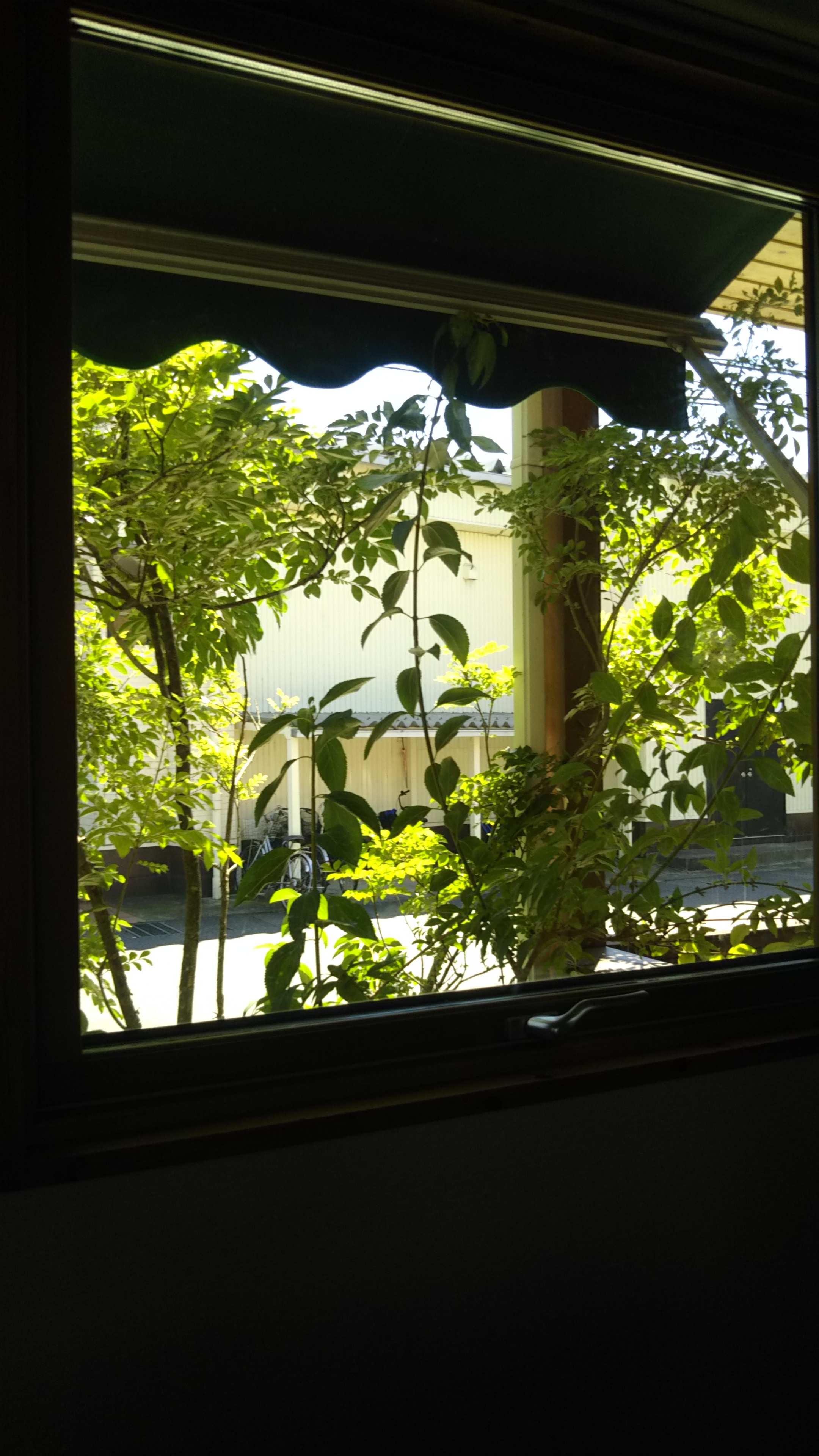 DSC_1900.JPG