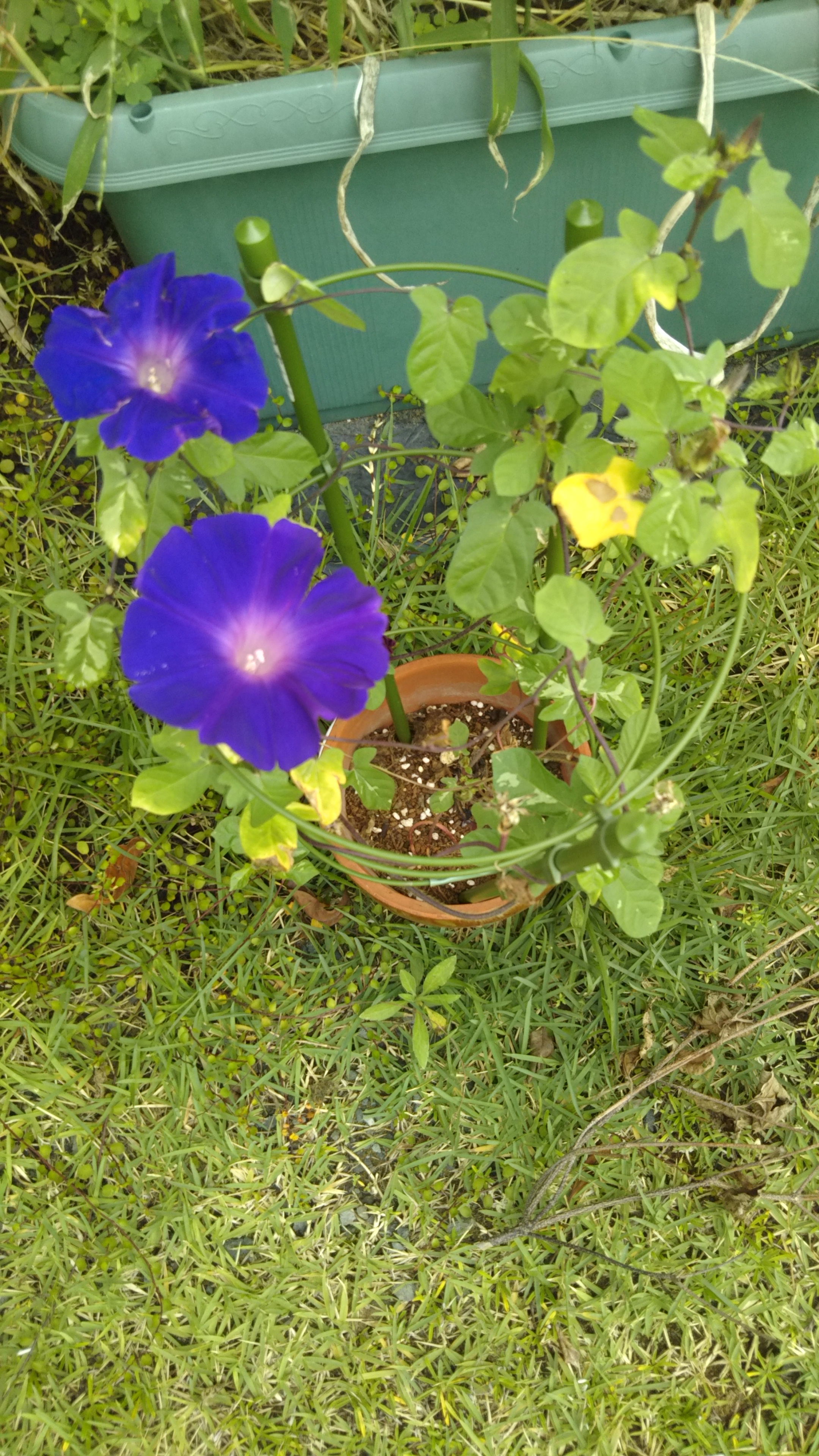 DSC_1956.JPG