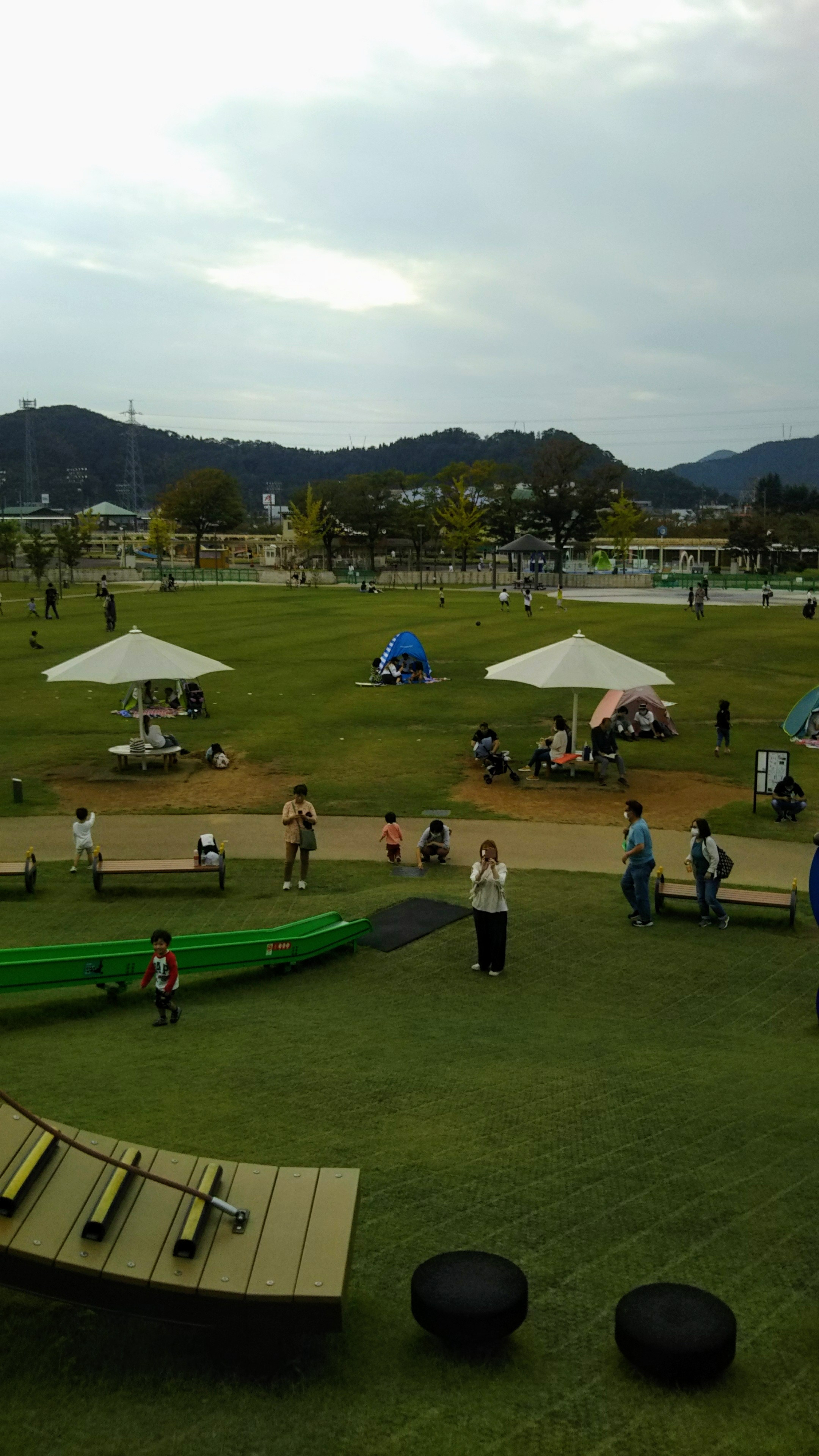DSC_1966.JPG