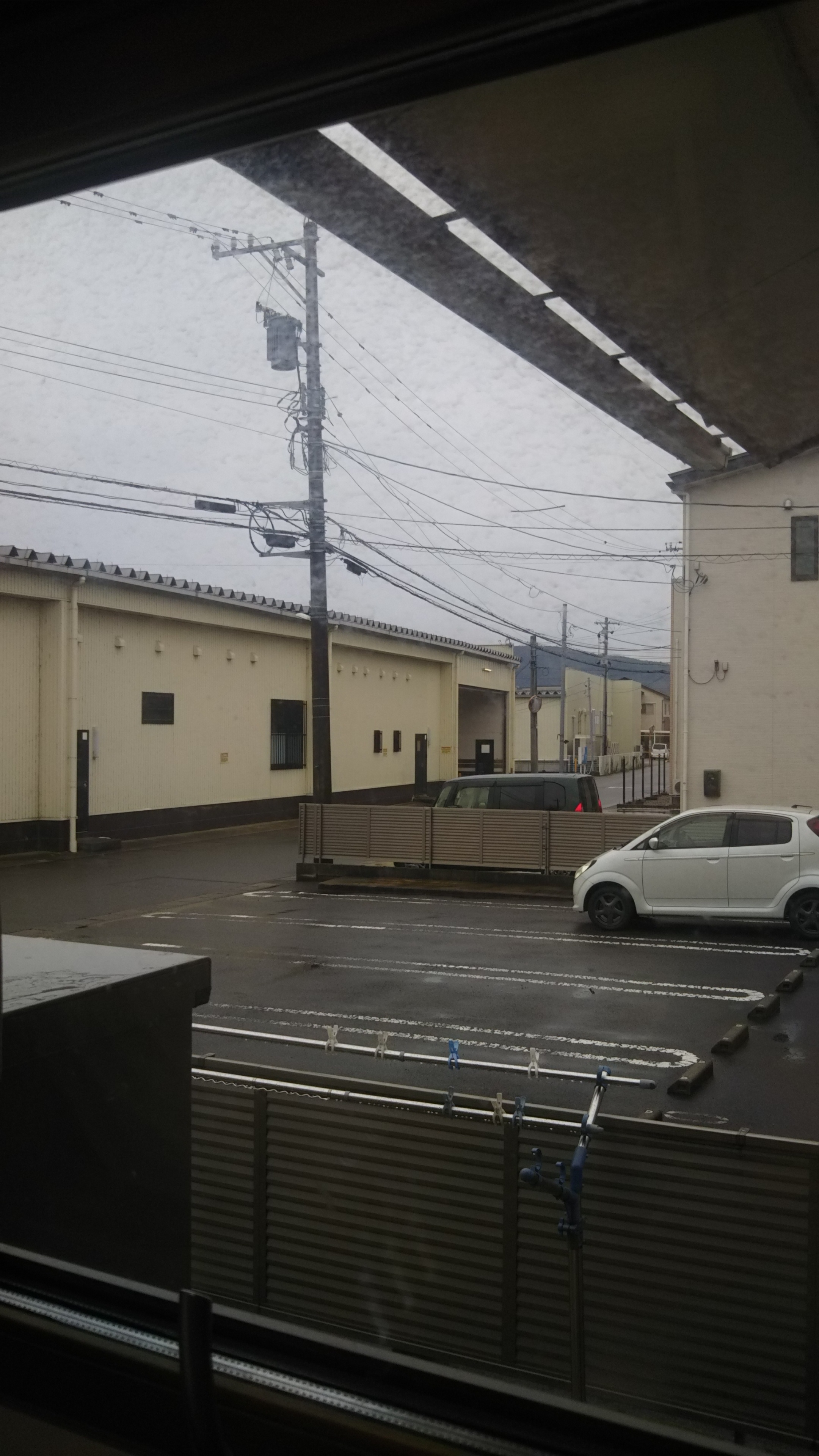 DSC_1972.JPG