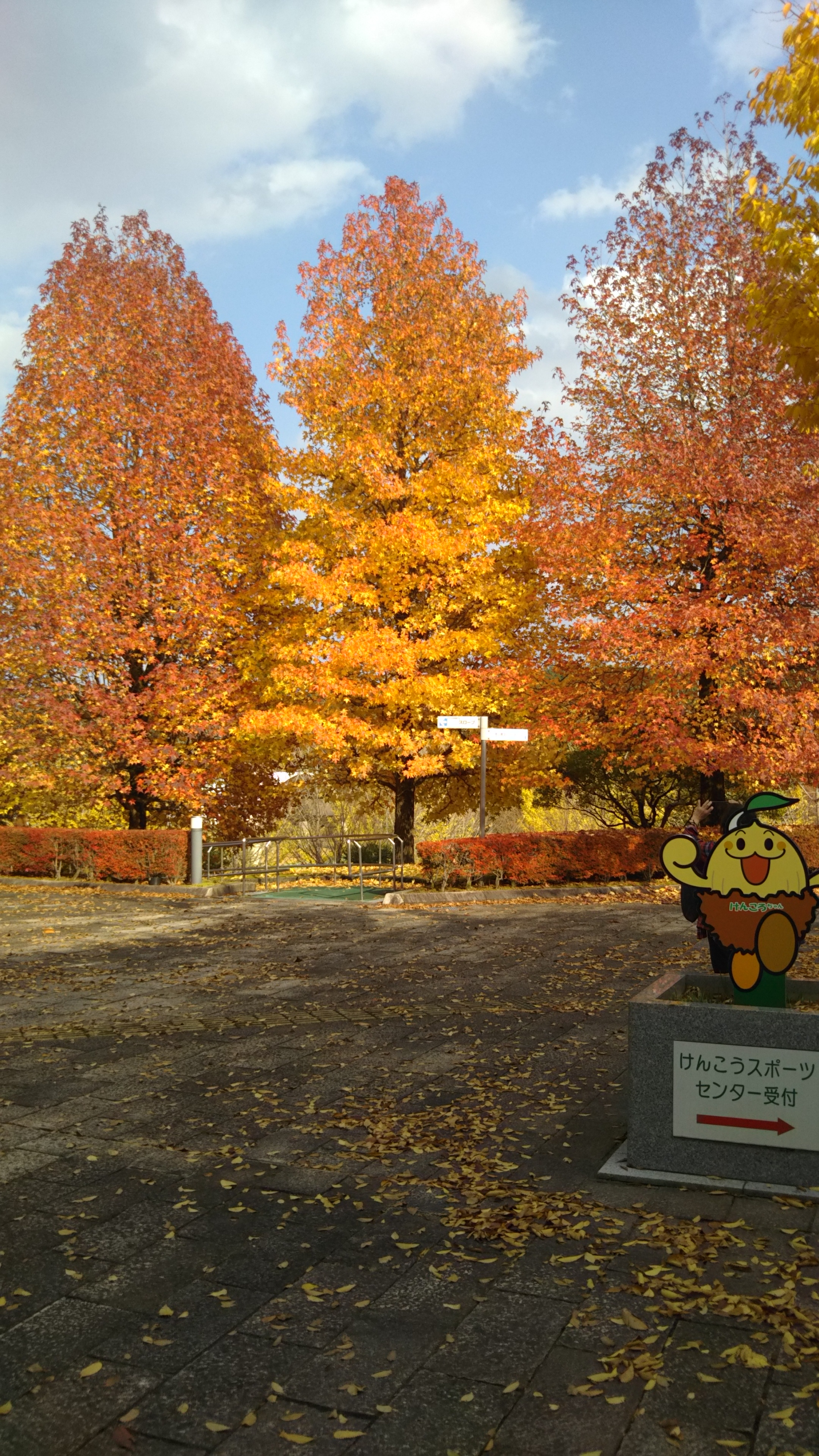 紅葉