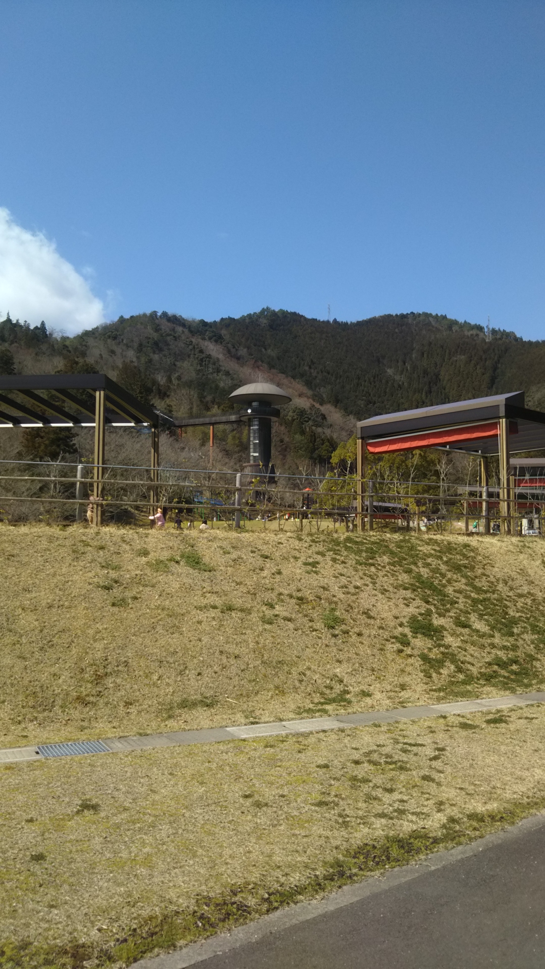 前半は空いてます