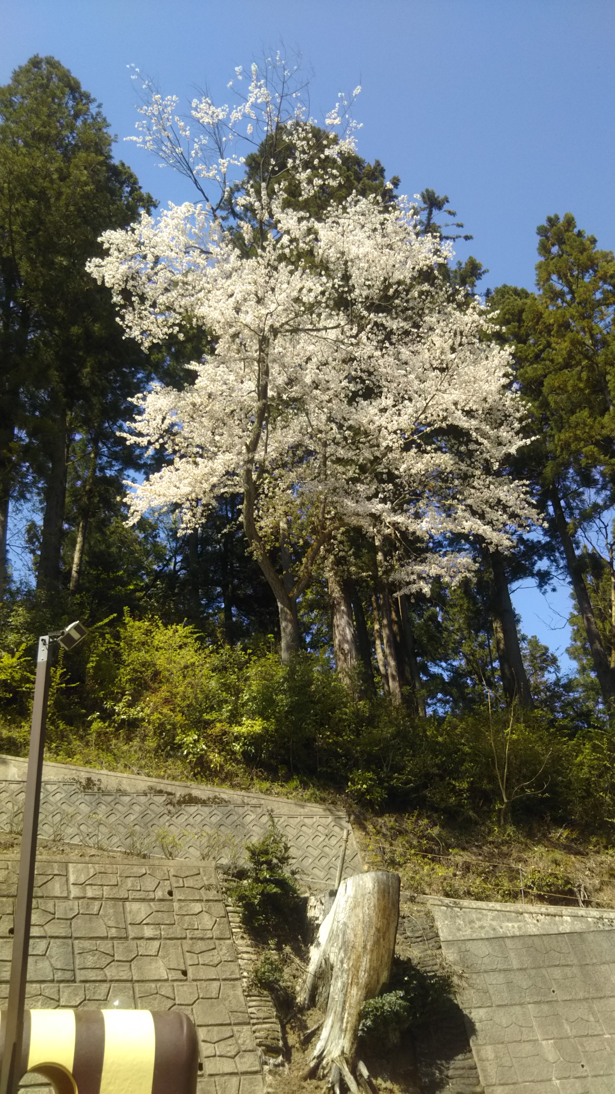 定休日です。