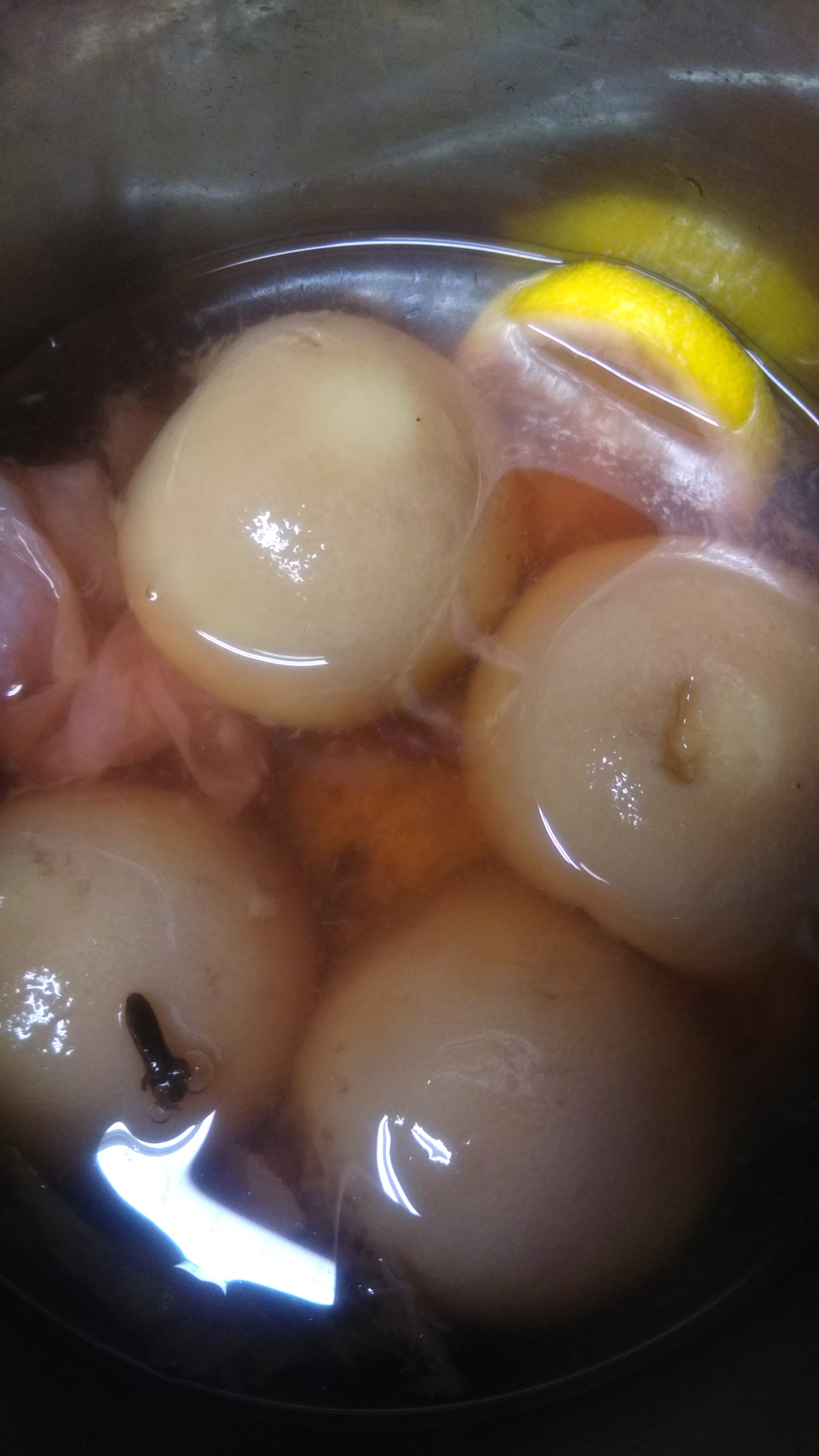 今日のランチタイムは貸し切りです。