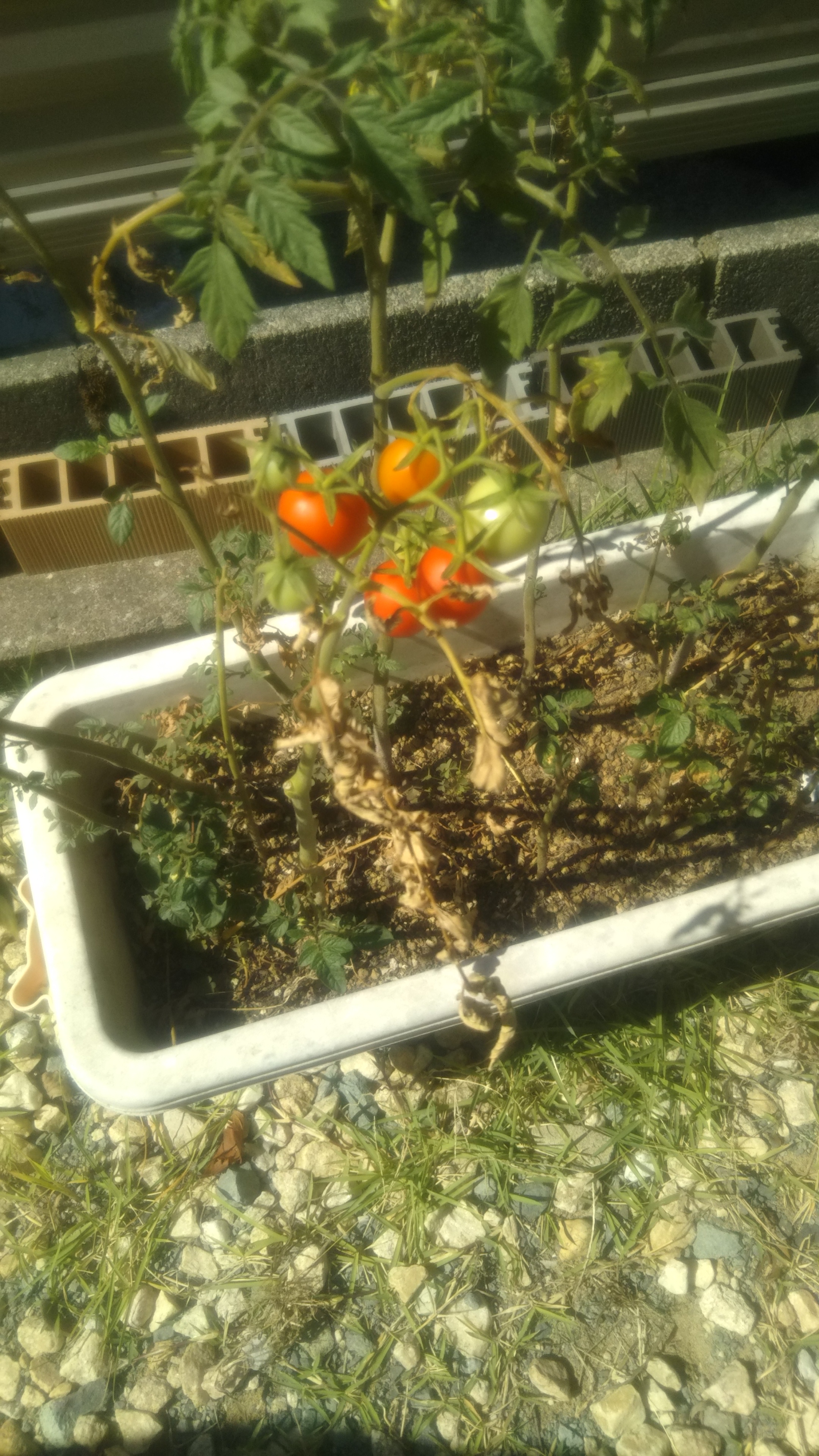 昼夜とも満席です。
