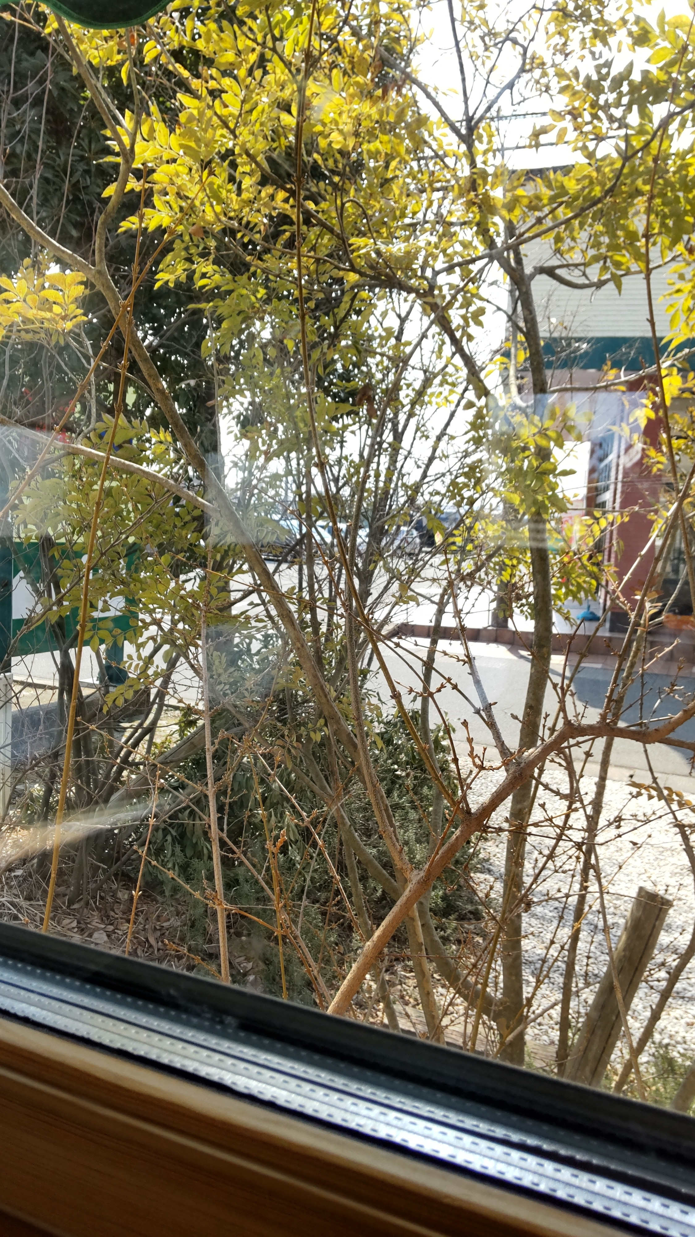 DSC_2870.JPG