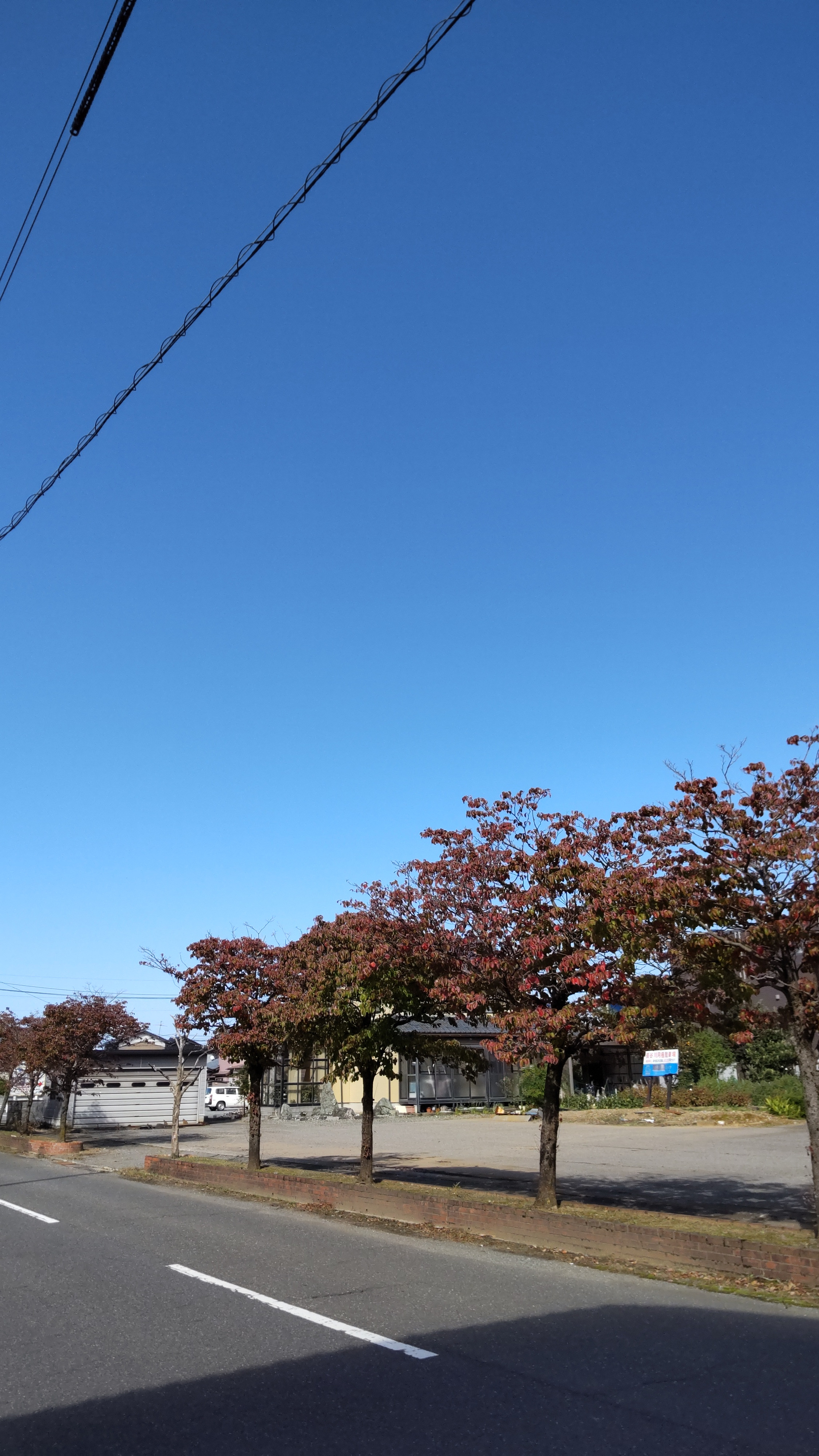 旅行支援