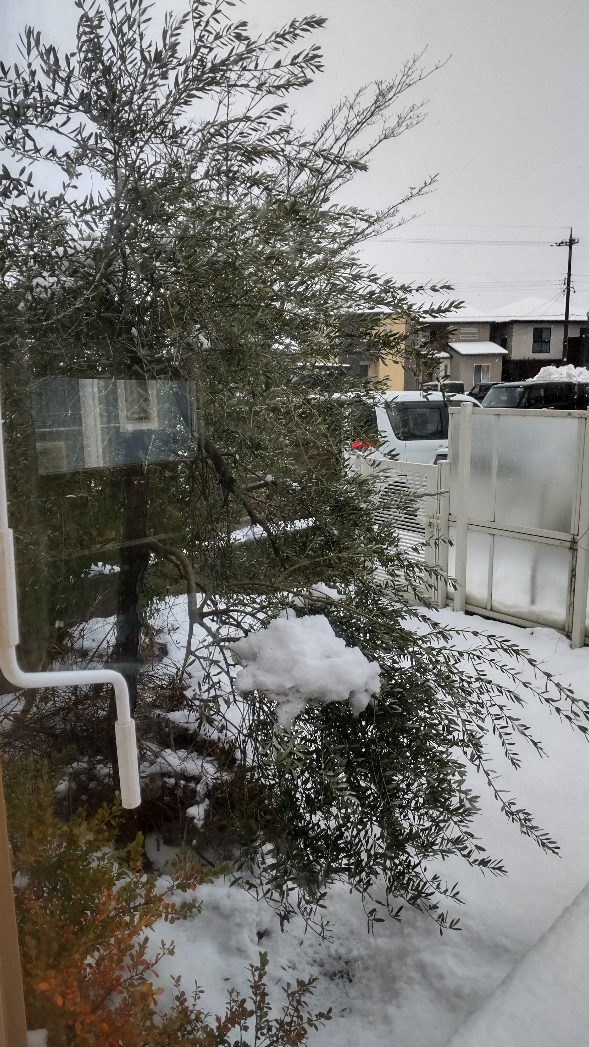 ランチ終わり