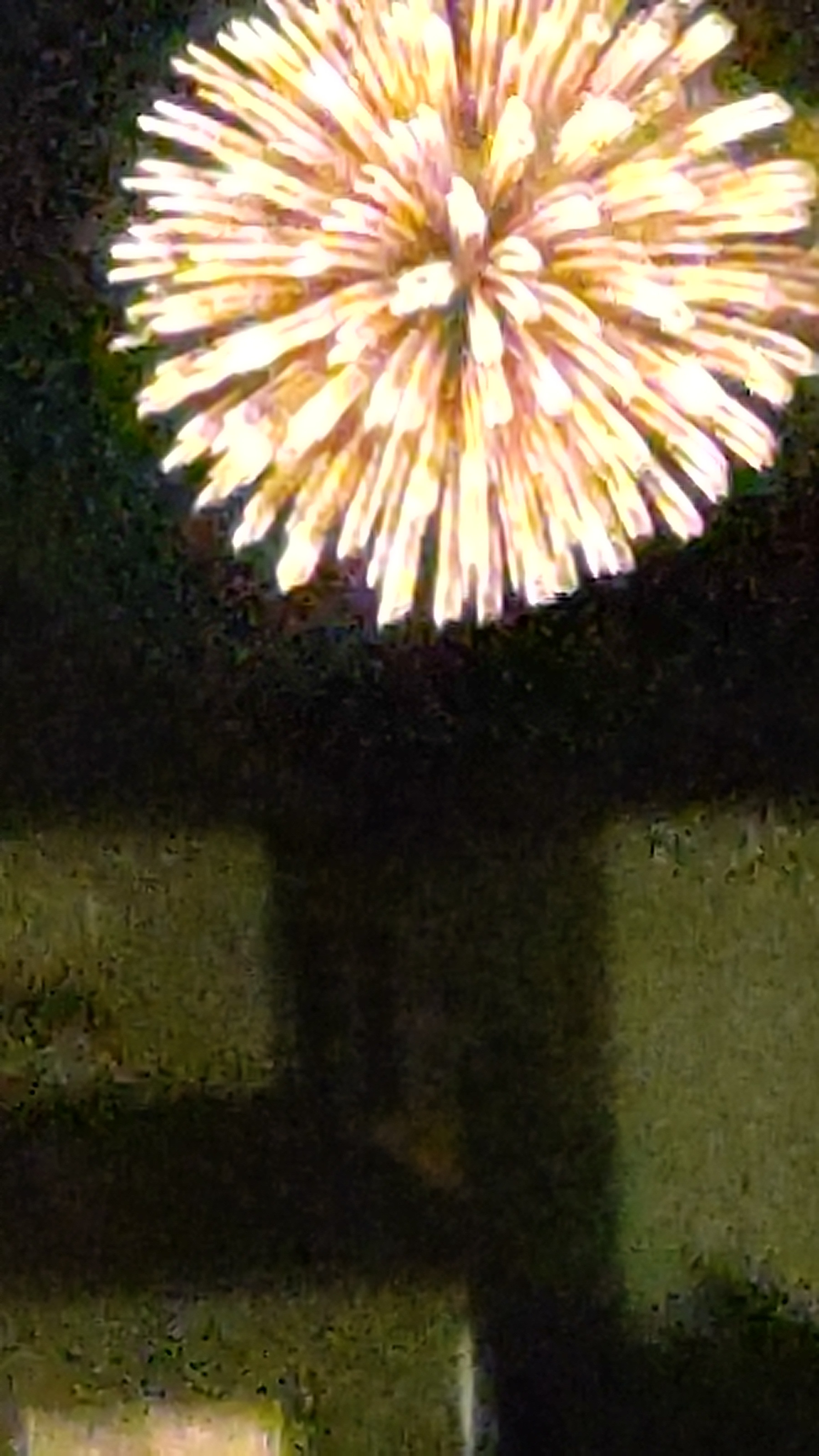 5年ぶり