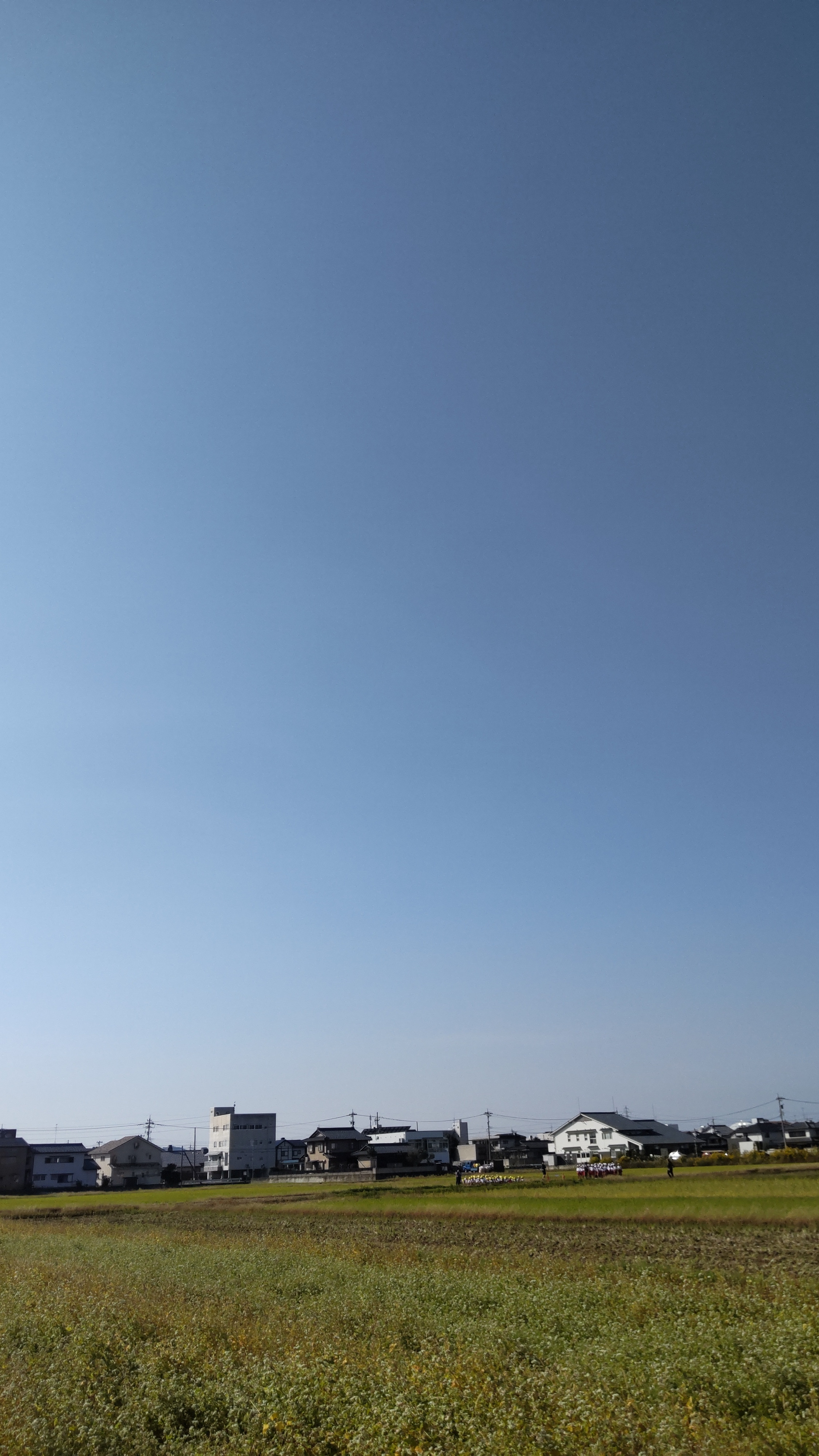 定休日です