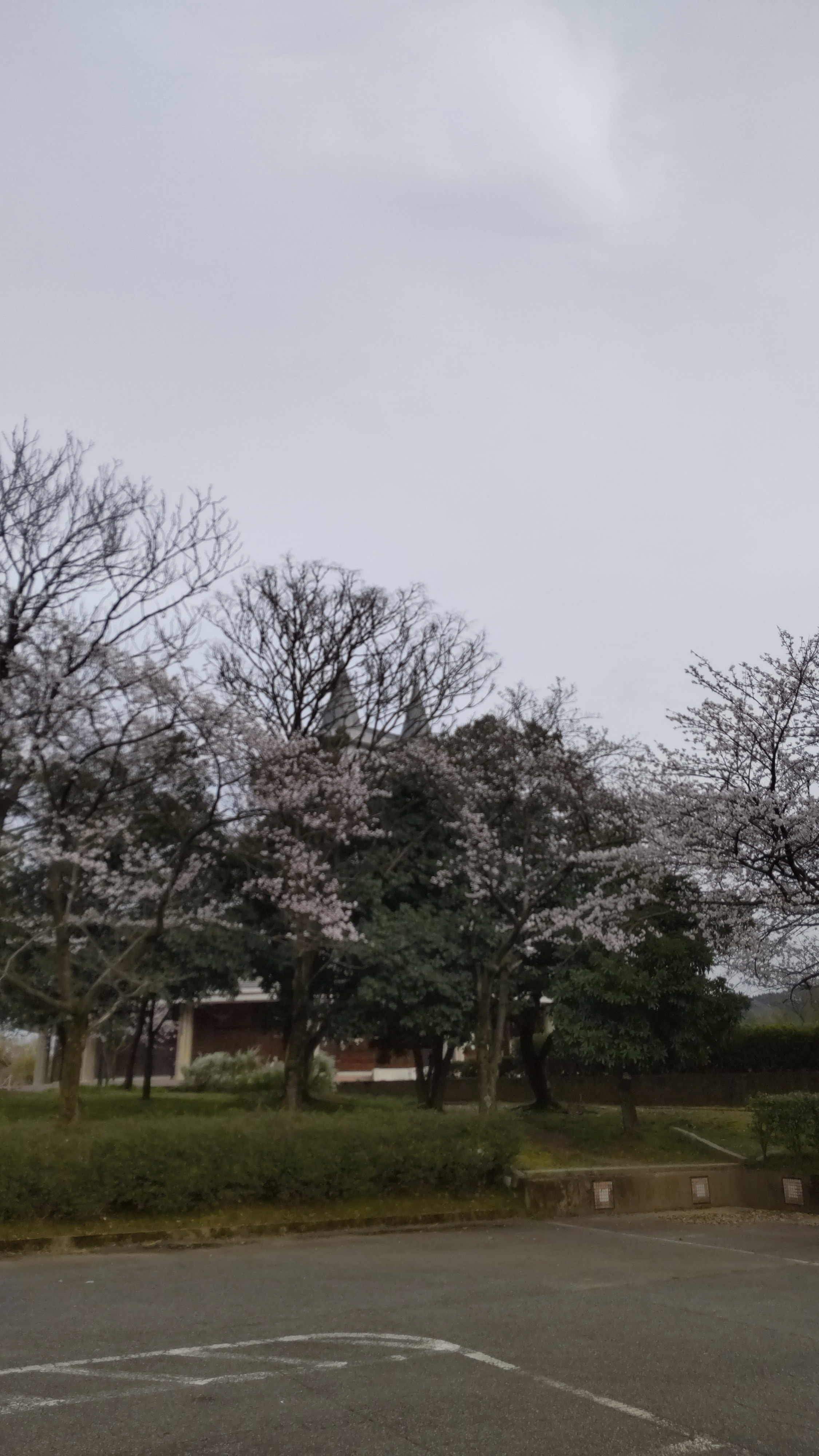 定休日
