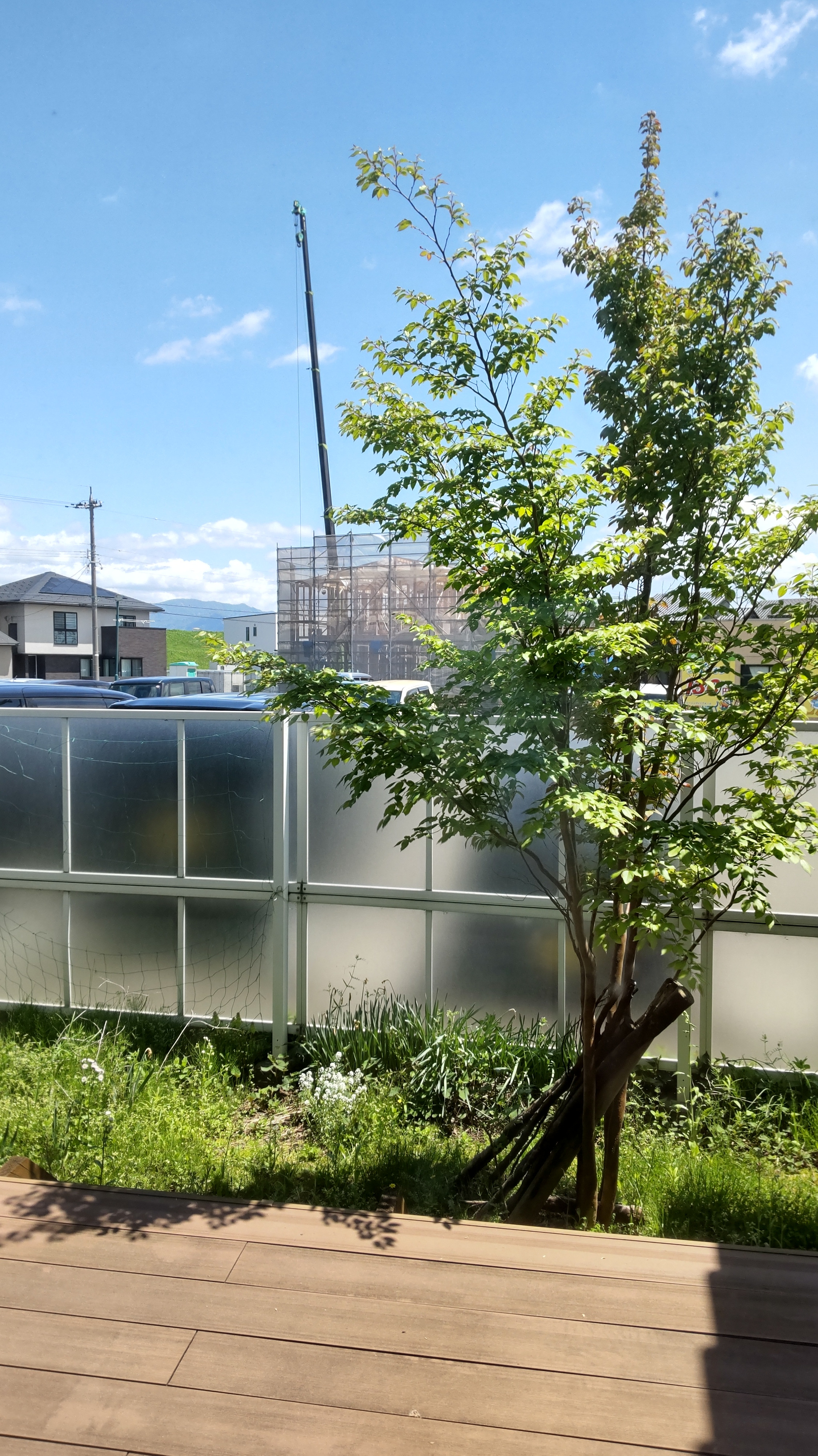 夜は満席です