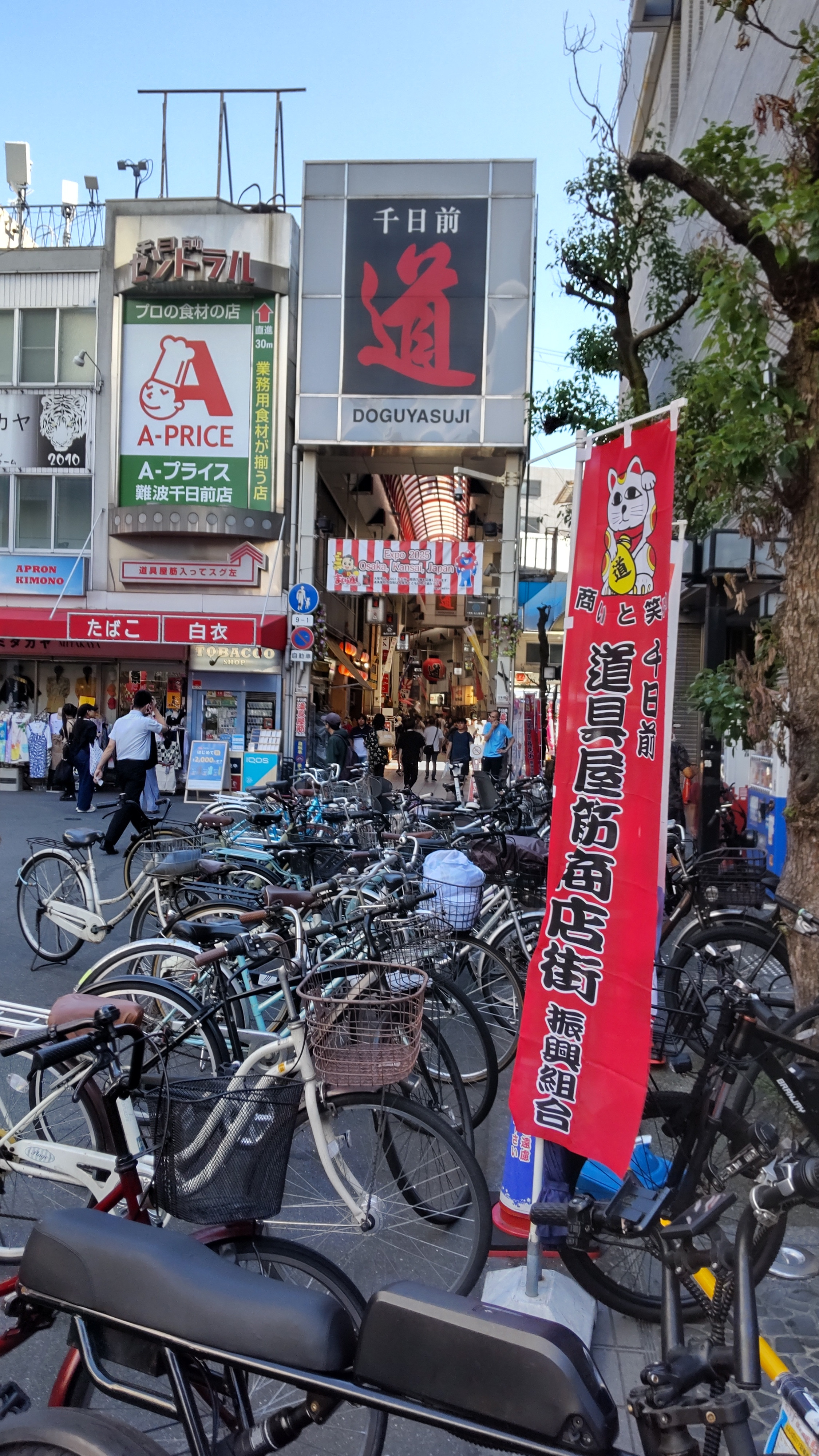 13年ぶり