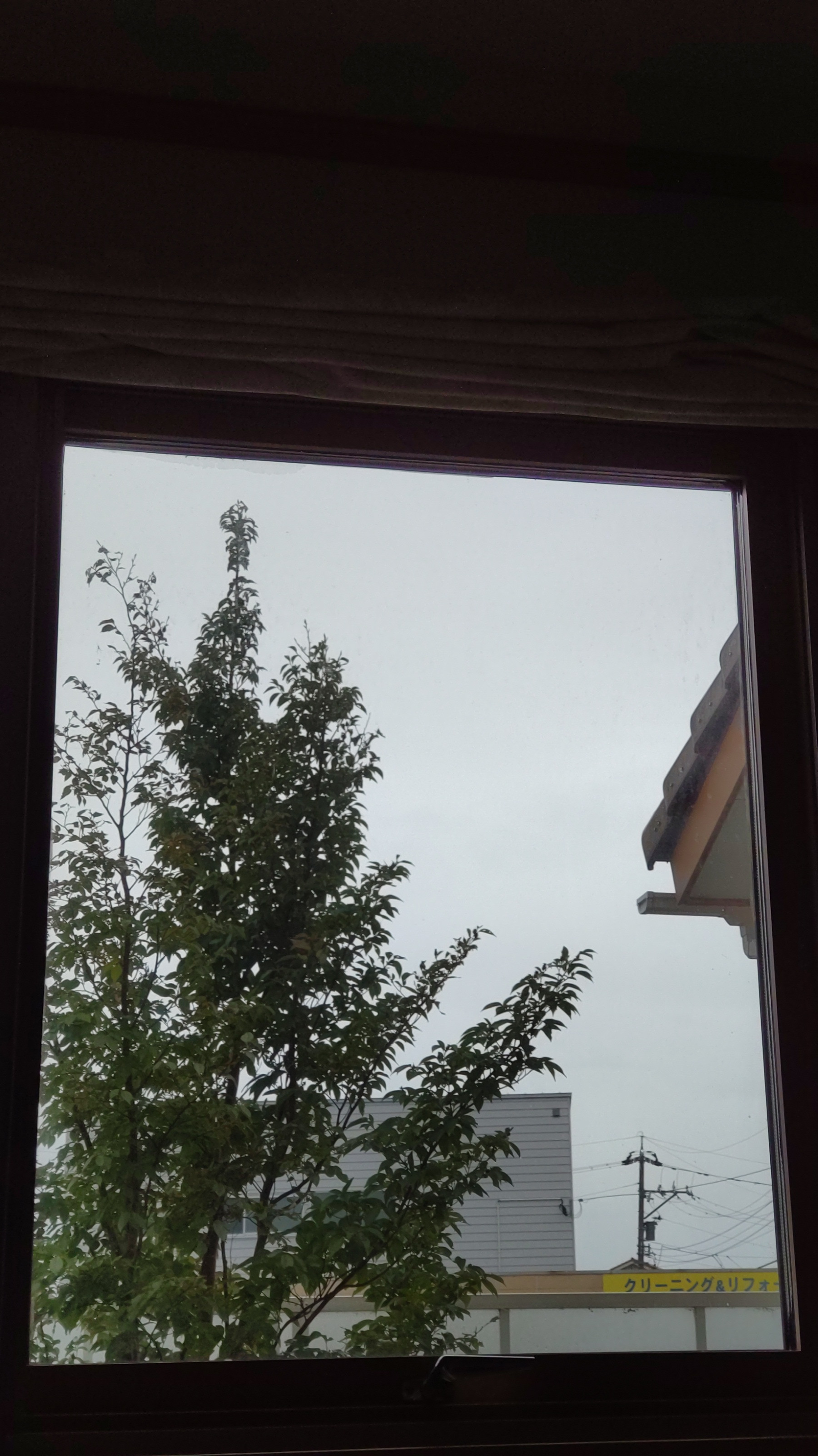 台風