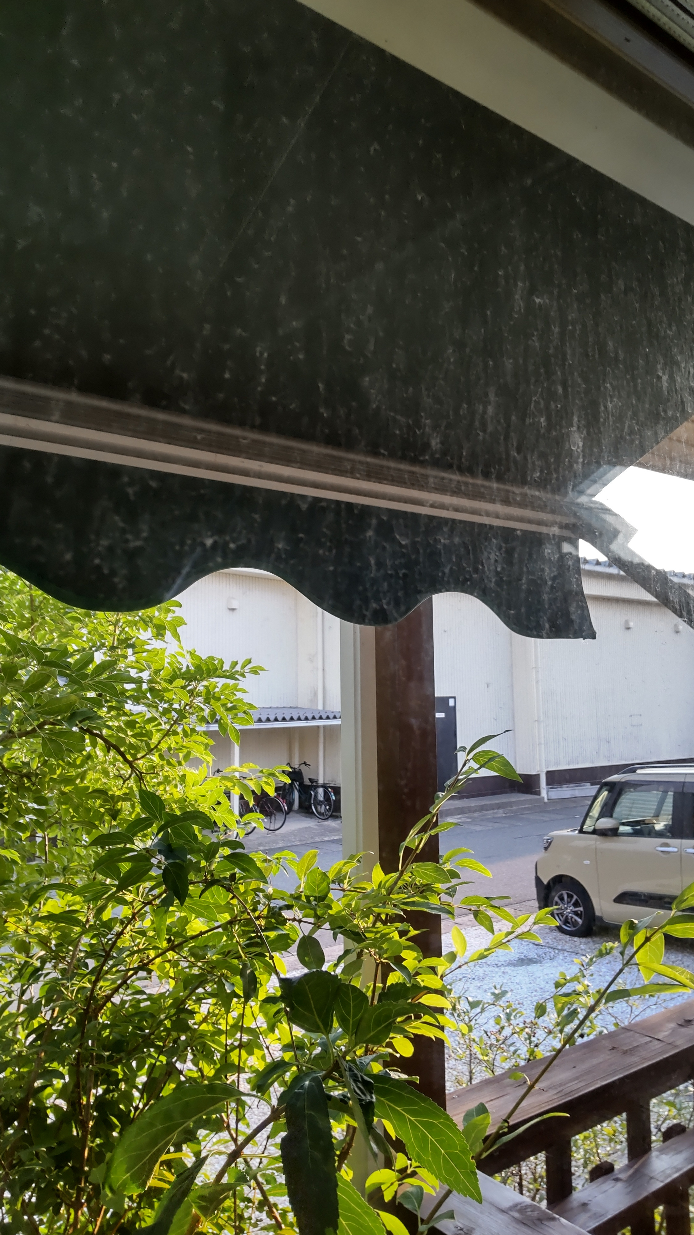 台風