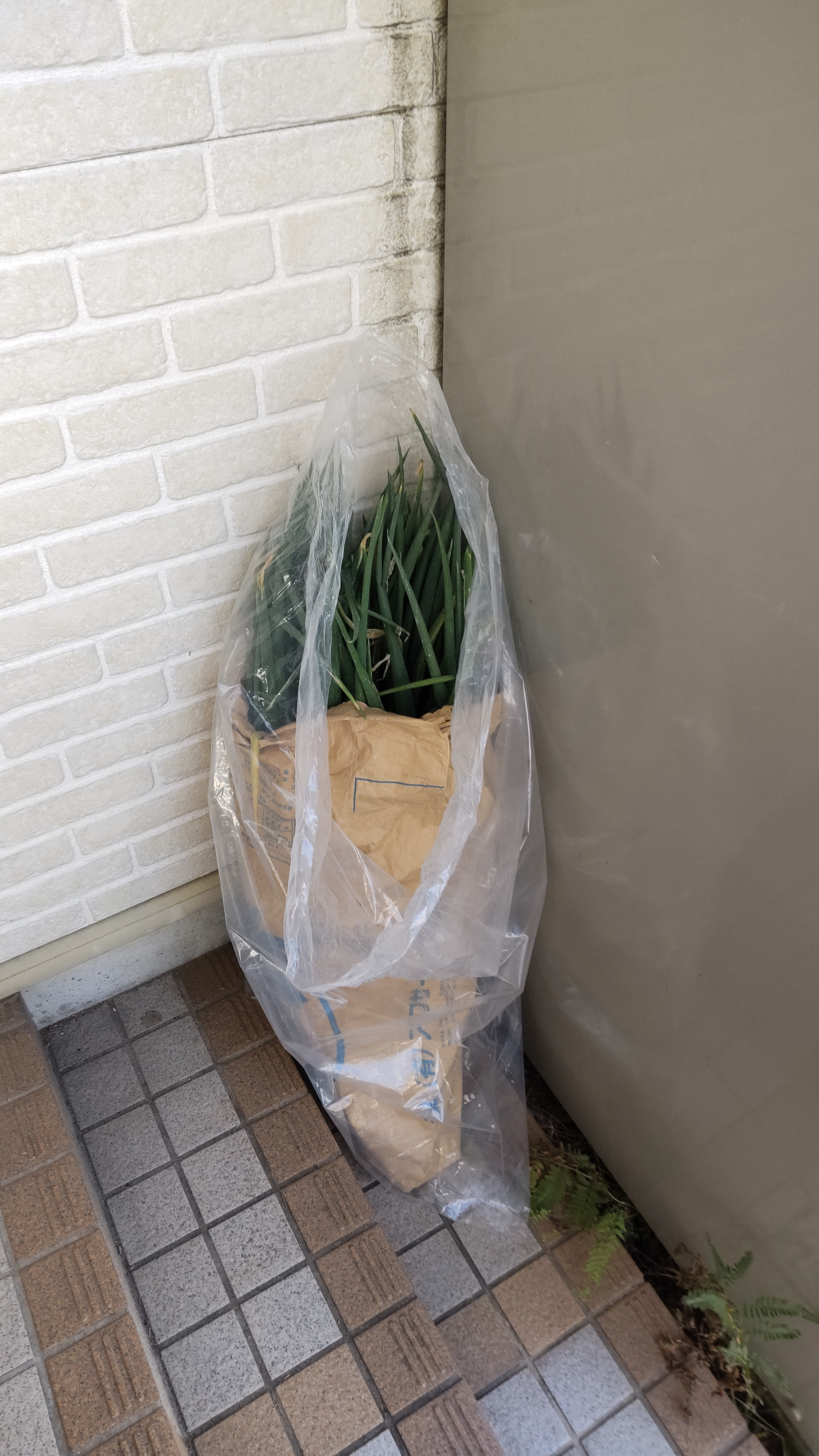 野菜