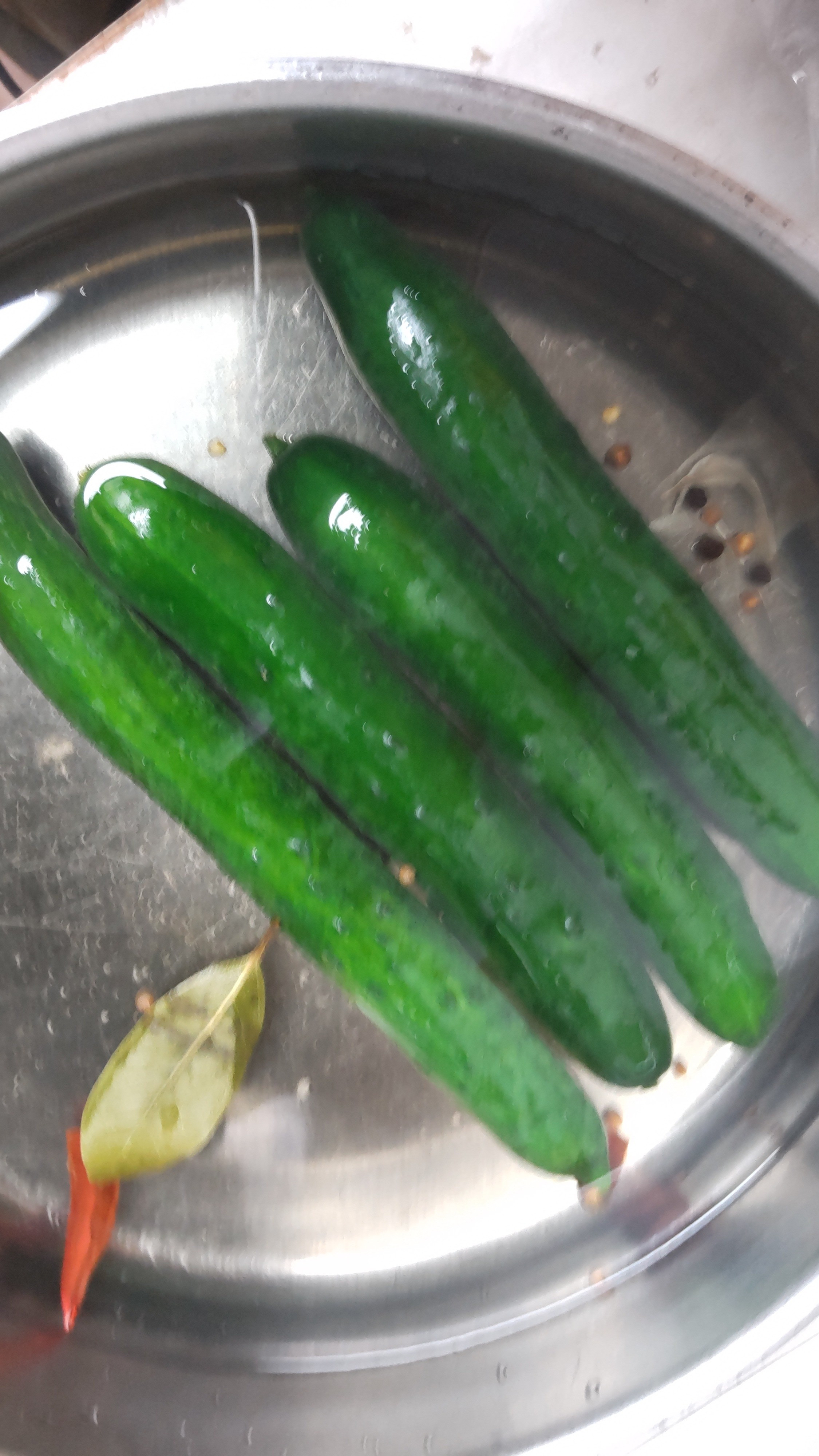 正直者