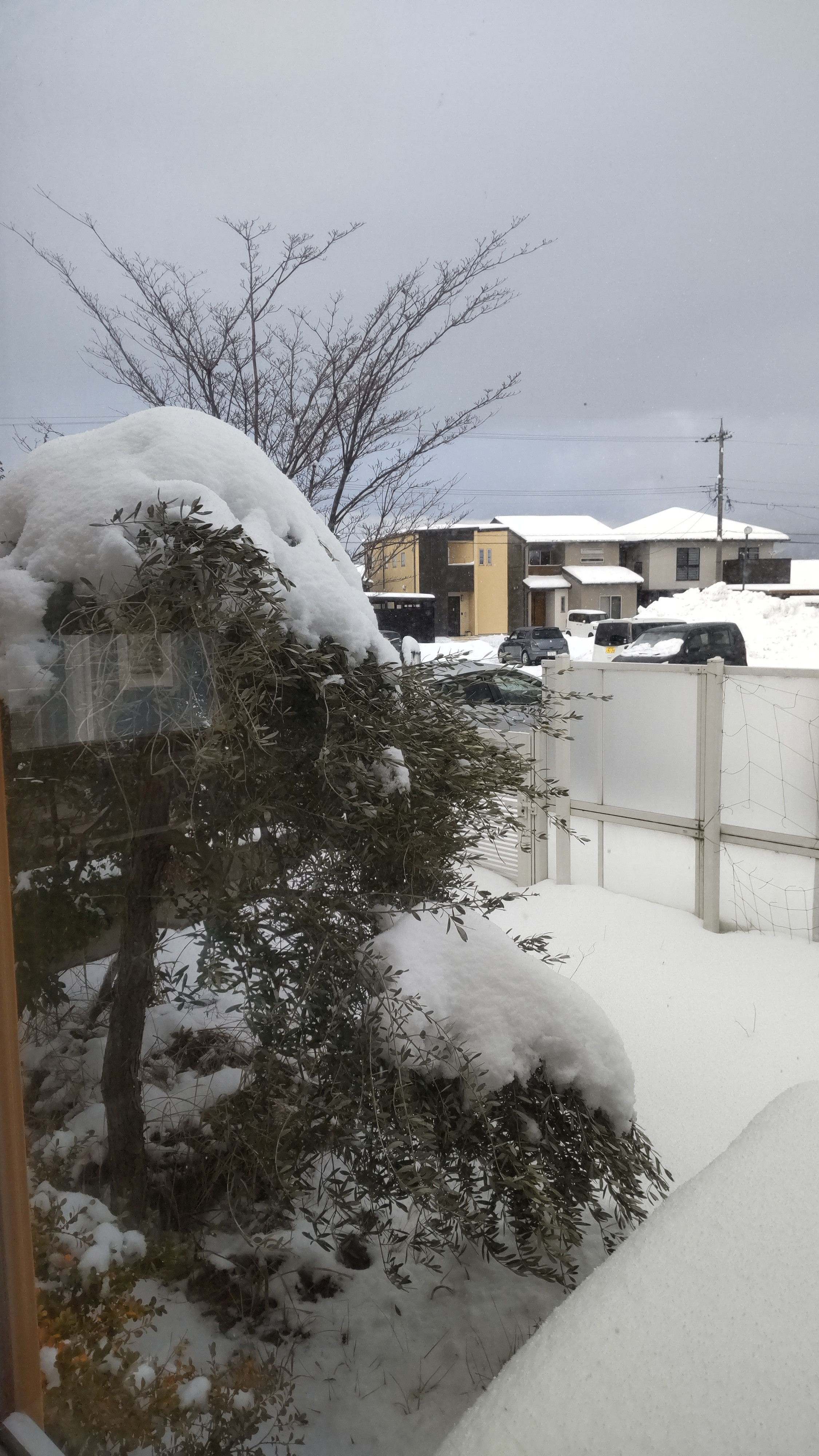 今回は