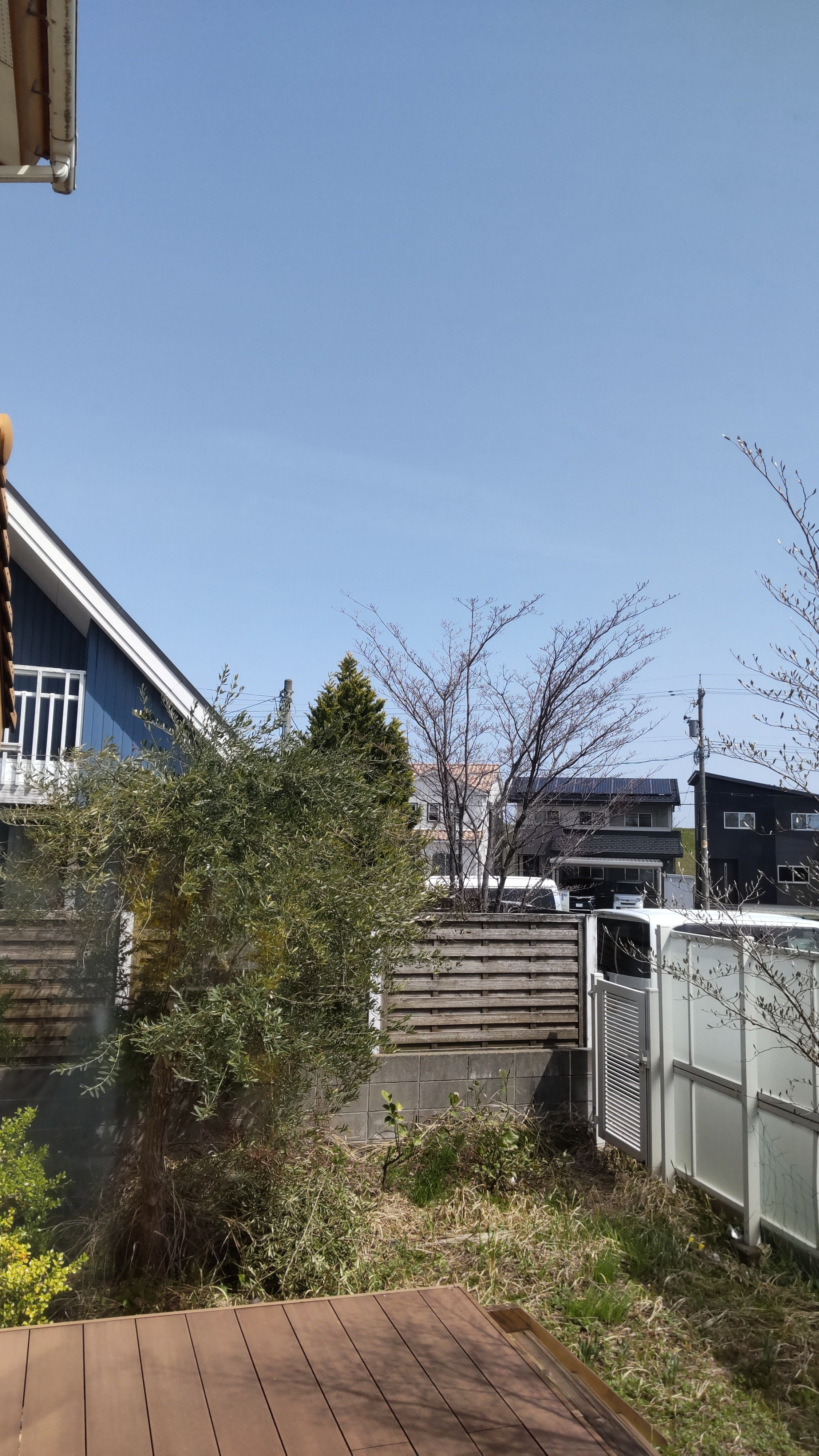 今日はダメ