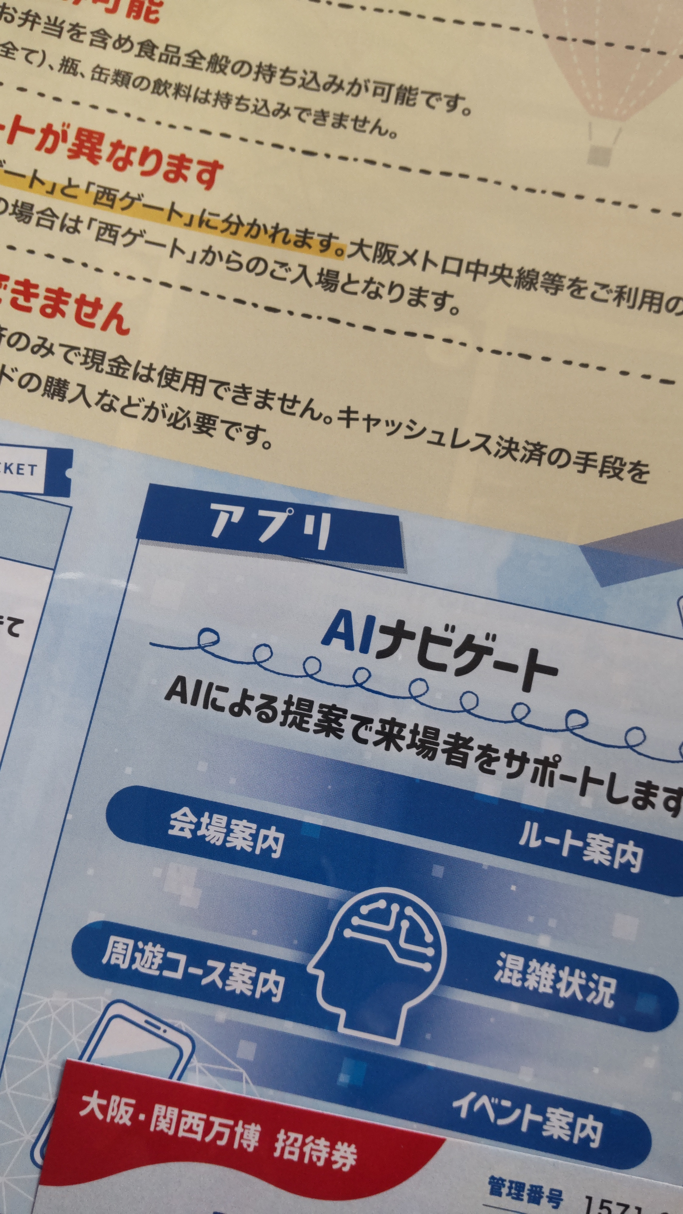 自己責任
