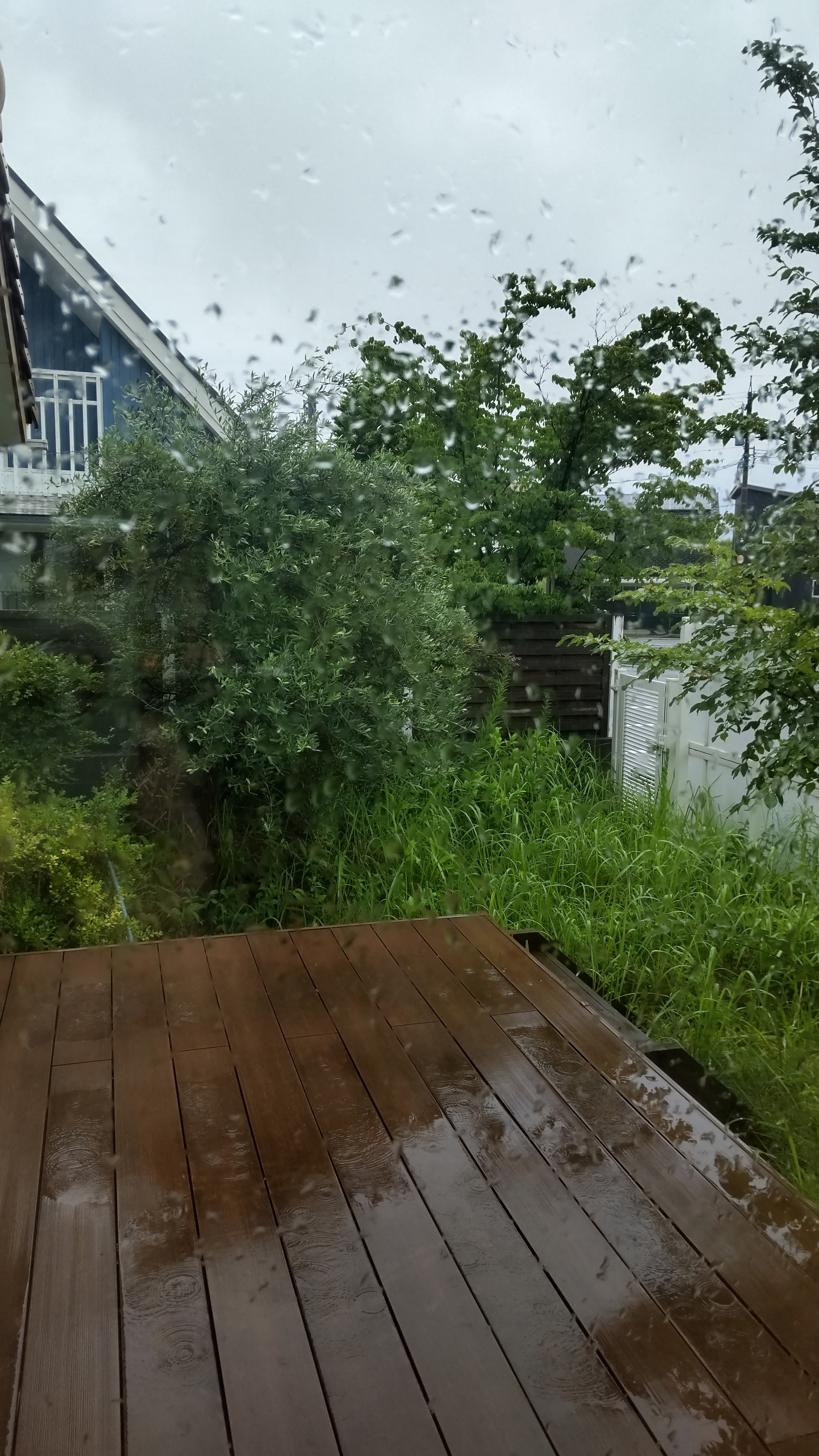 なかなか