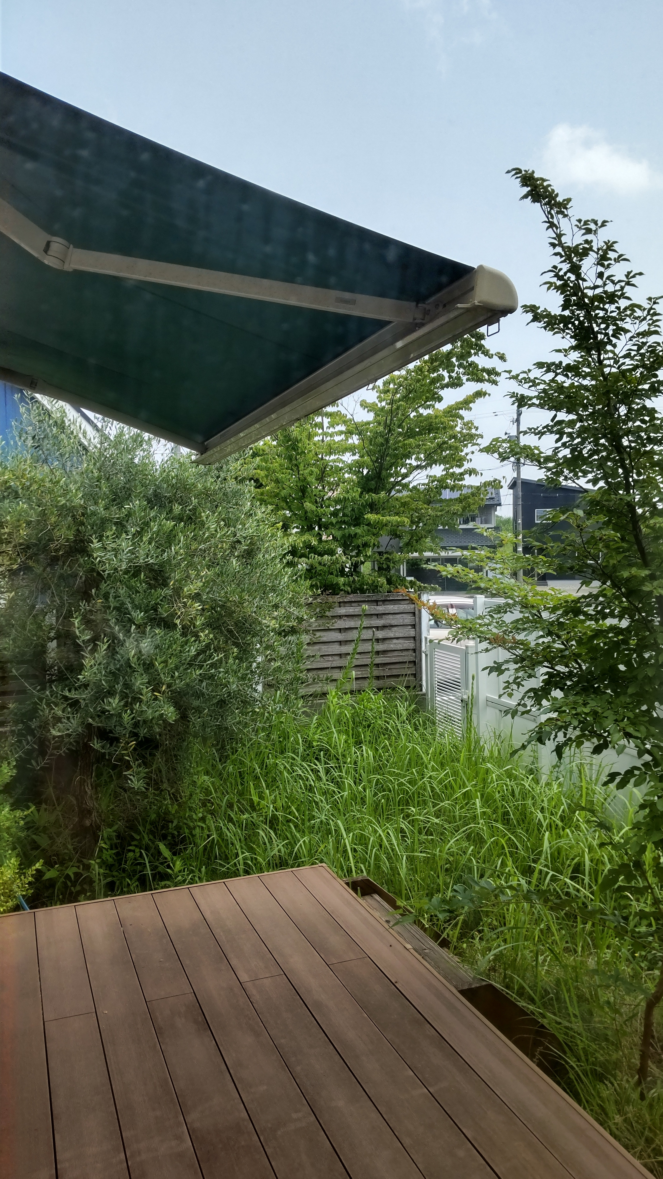 今日は空いています