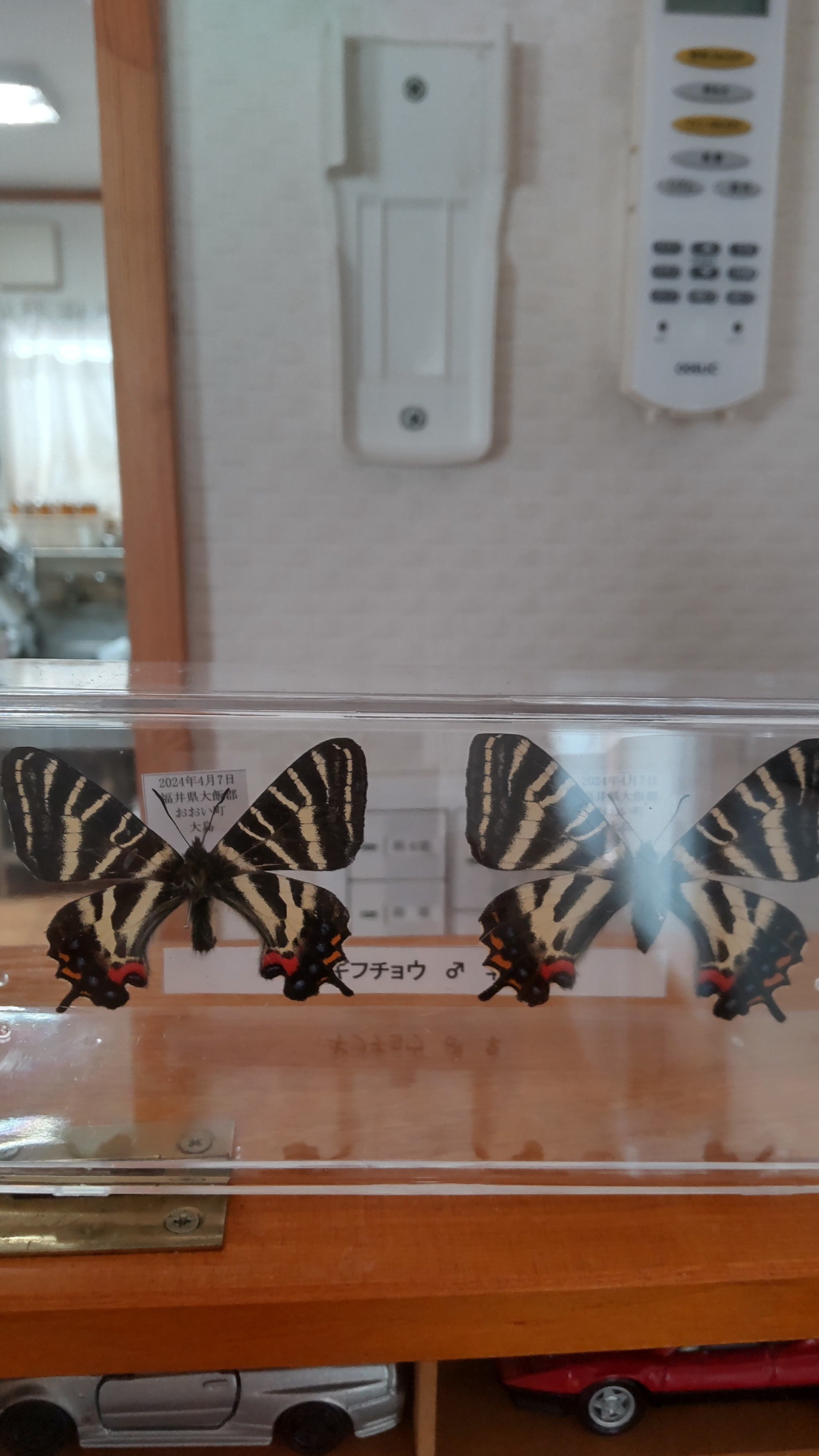 継続