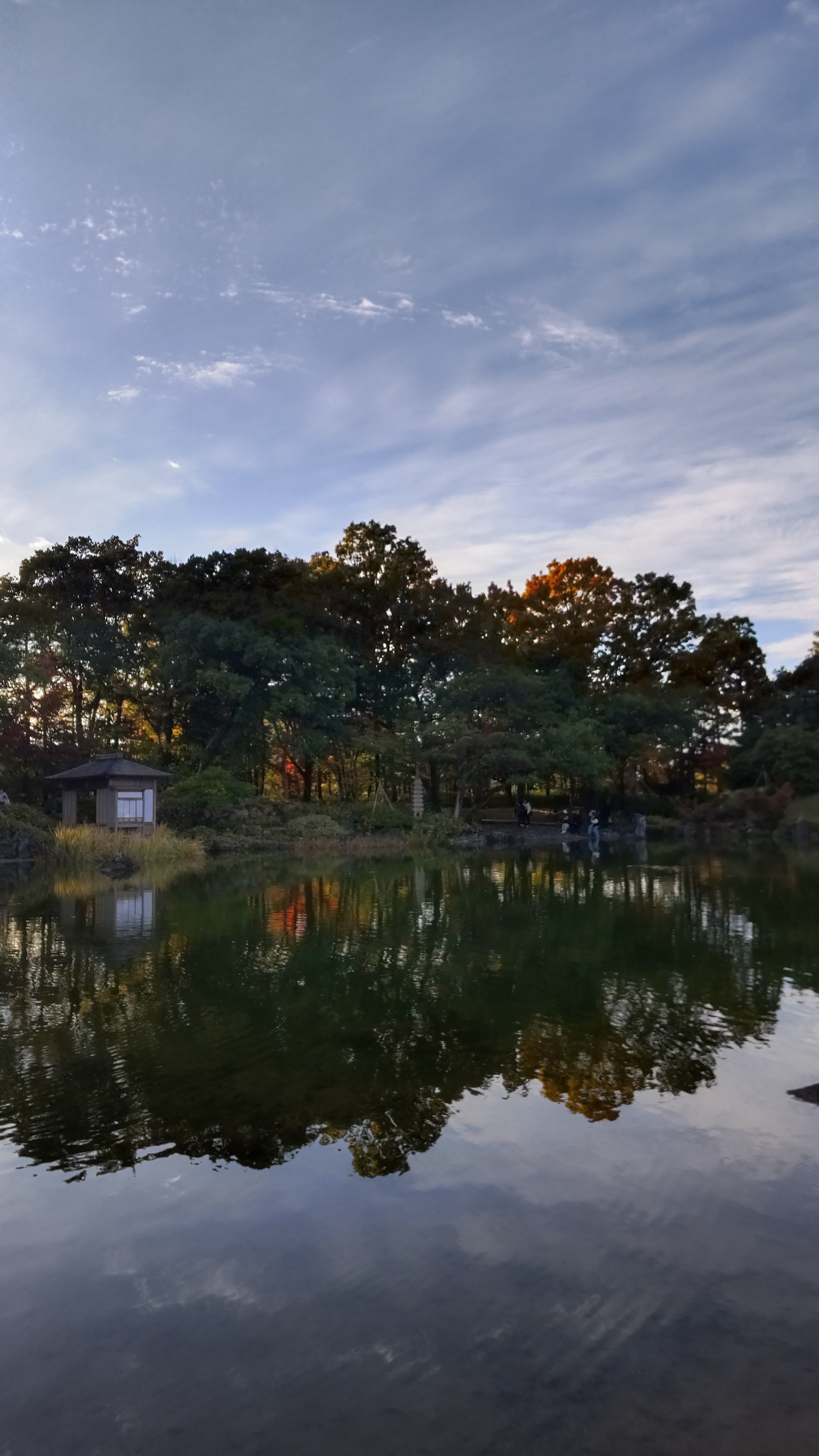 養こう園