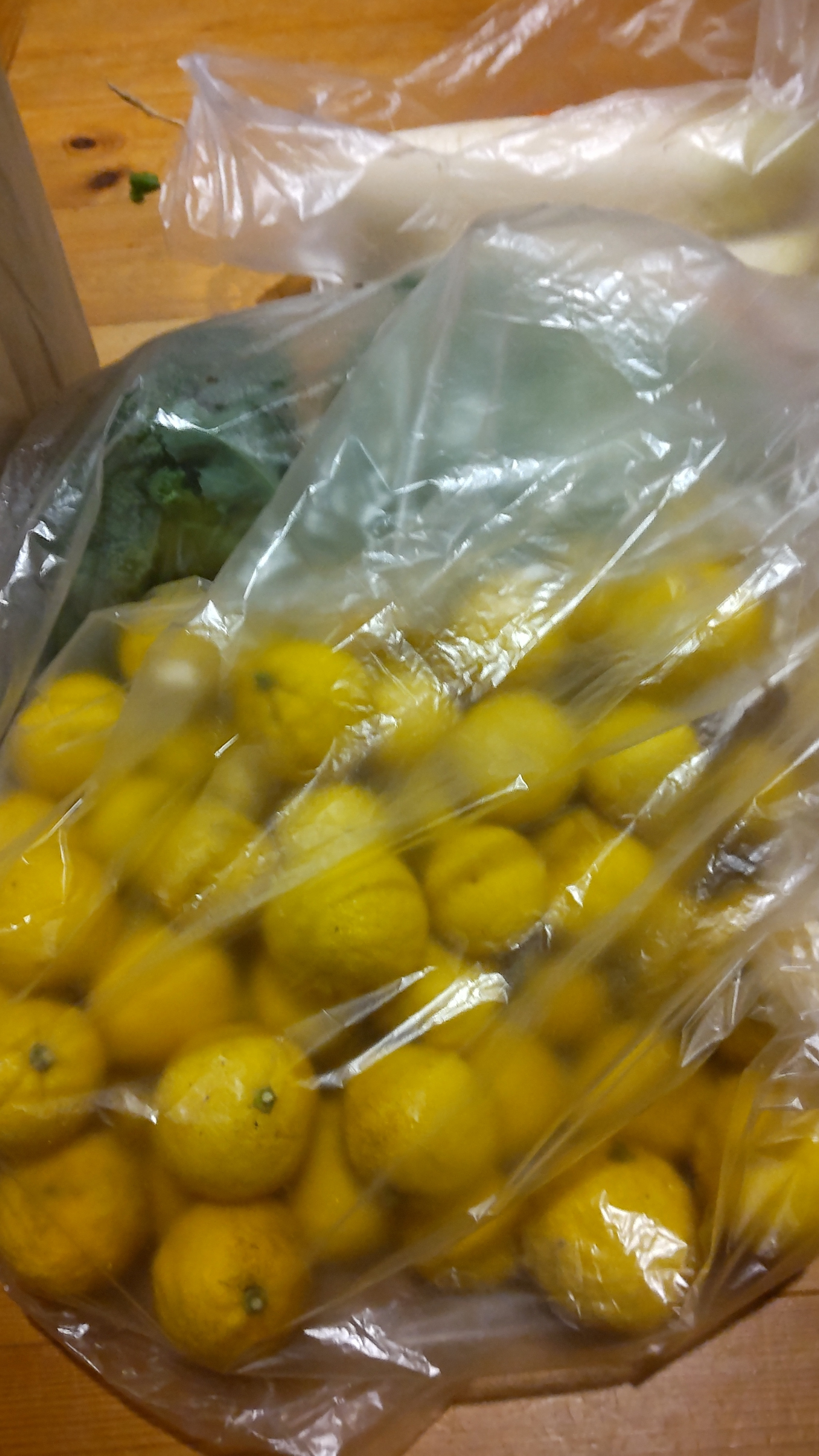 定休日です