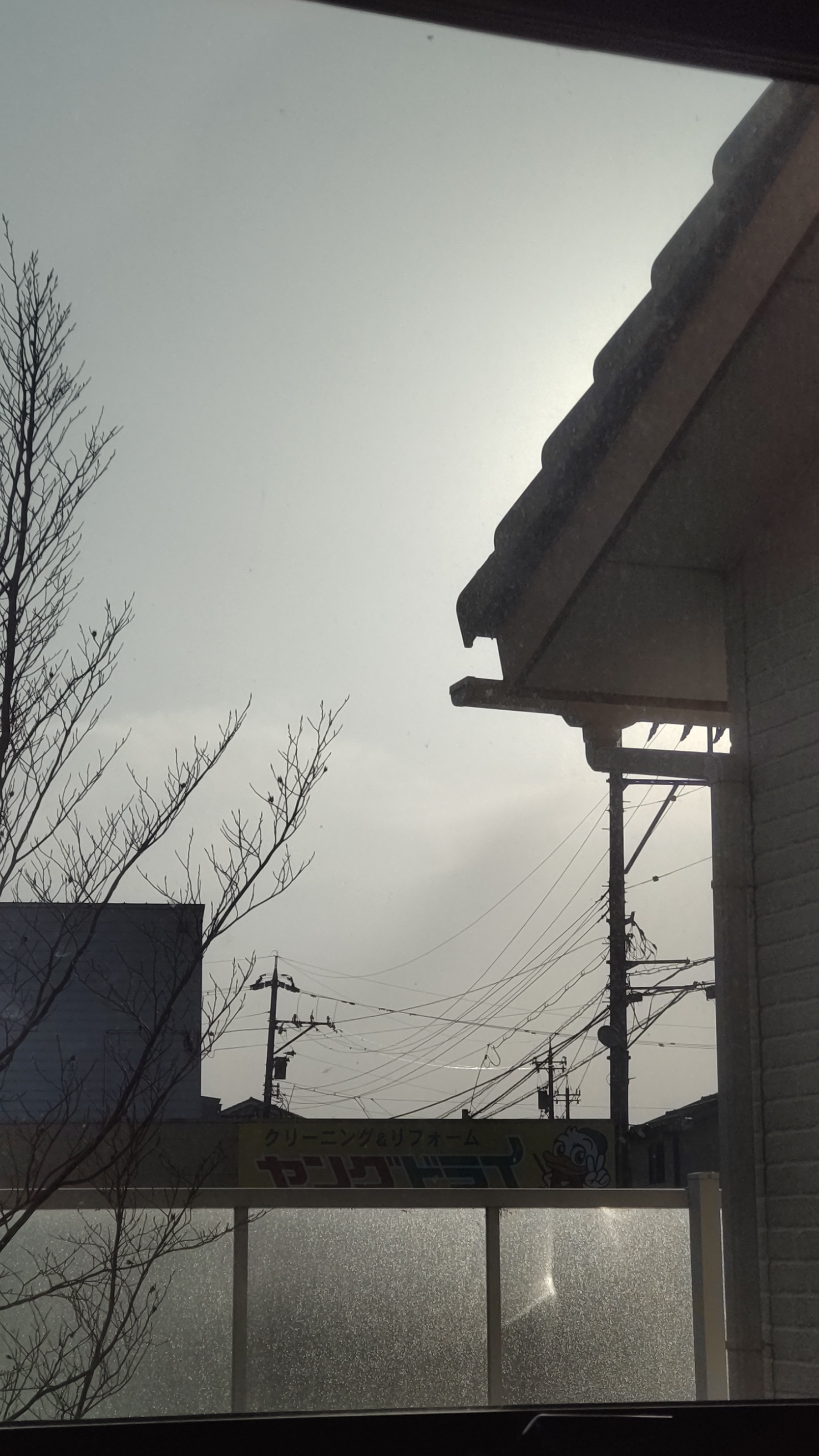 定休日です