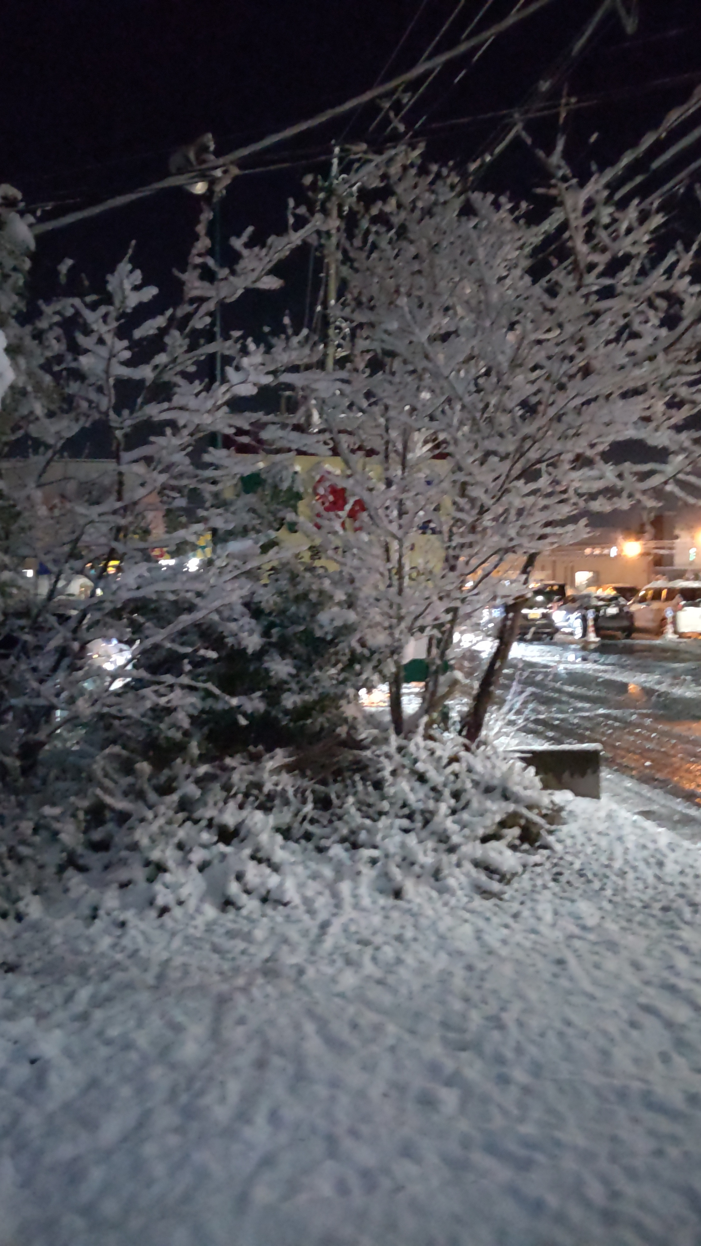 雪は