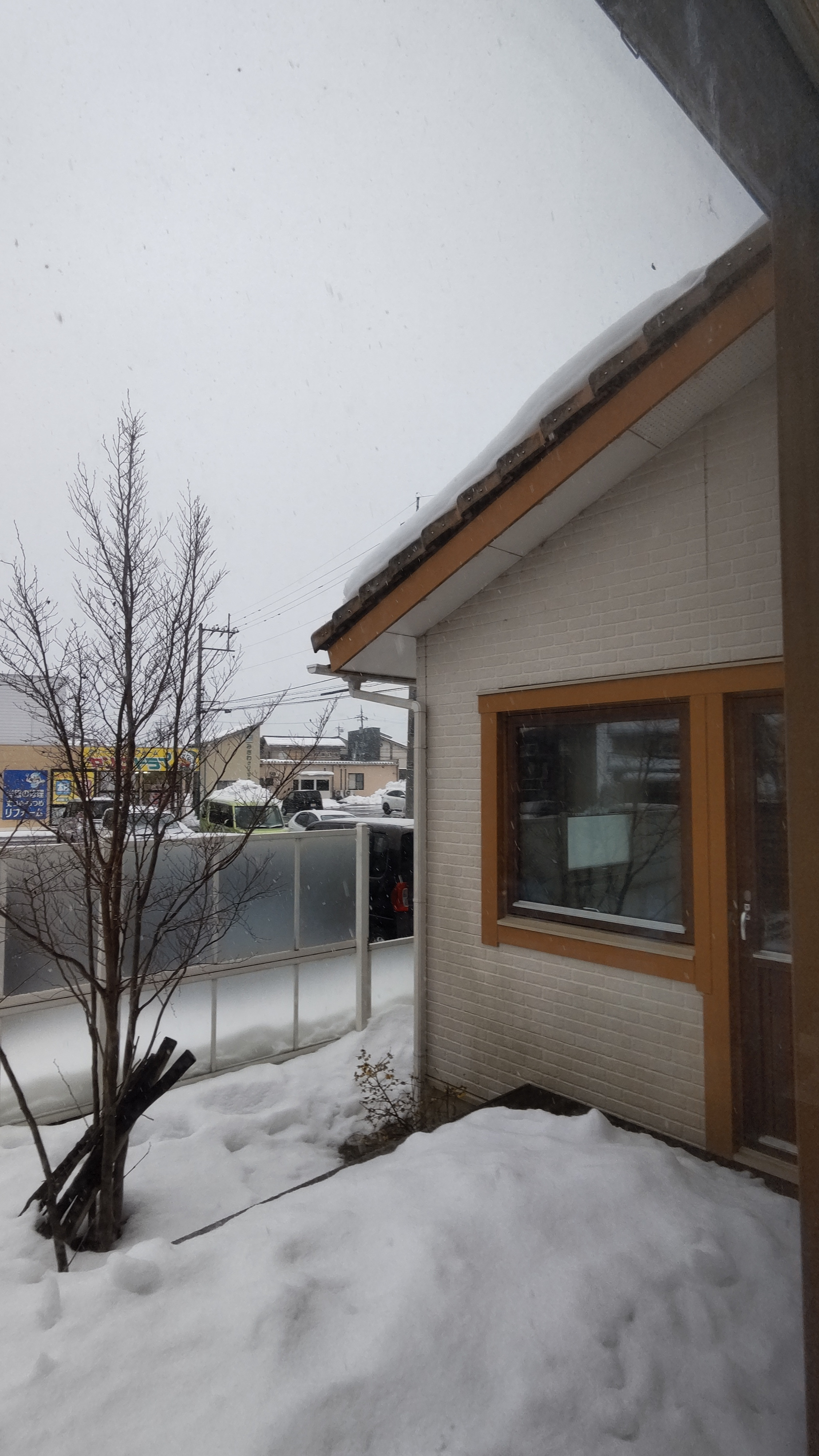 また雪
