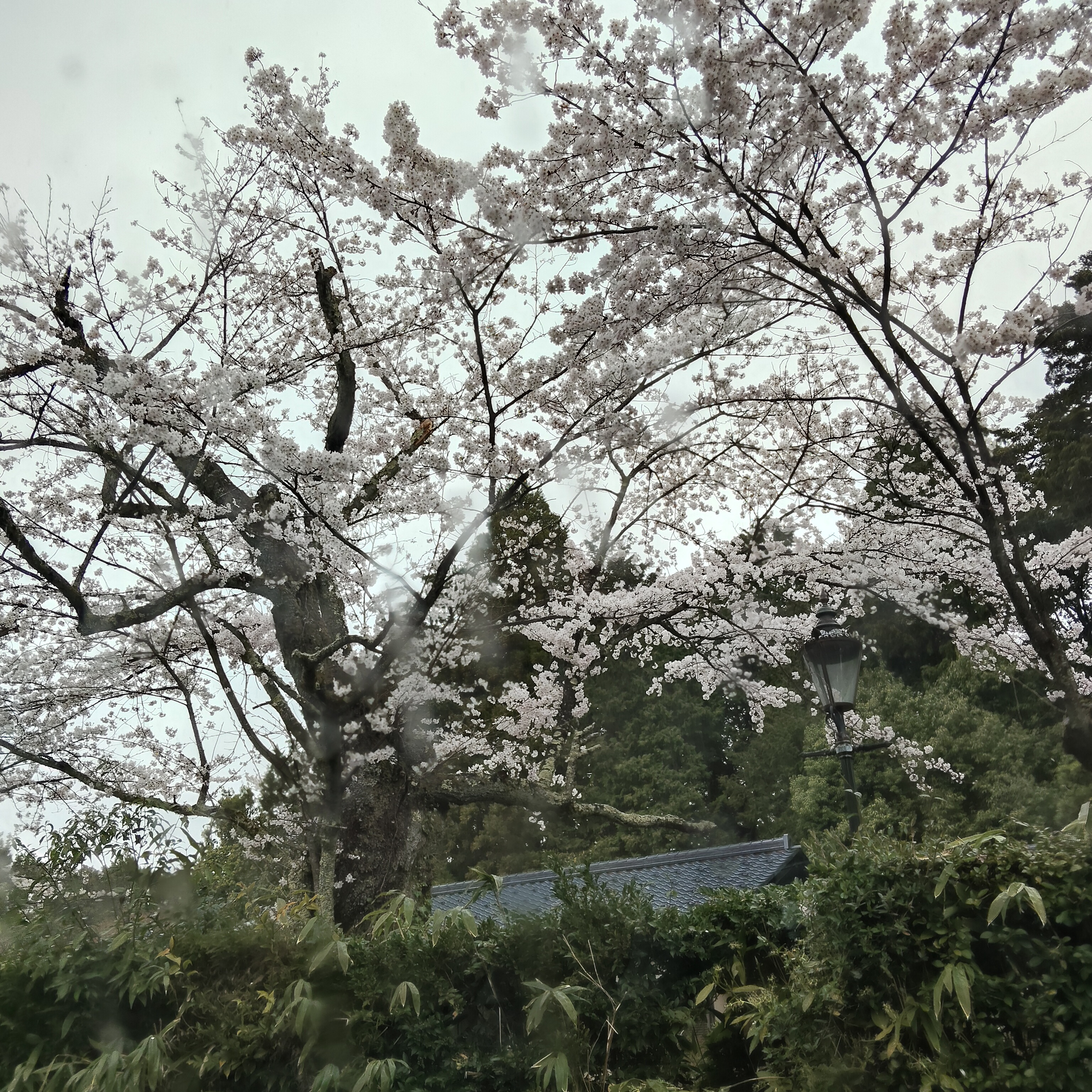 定義