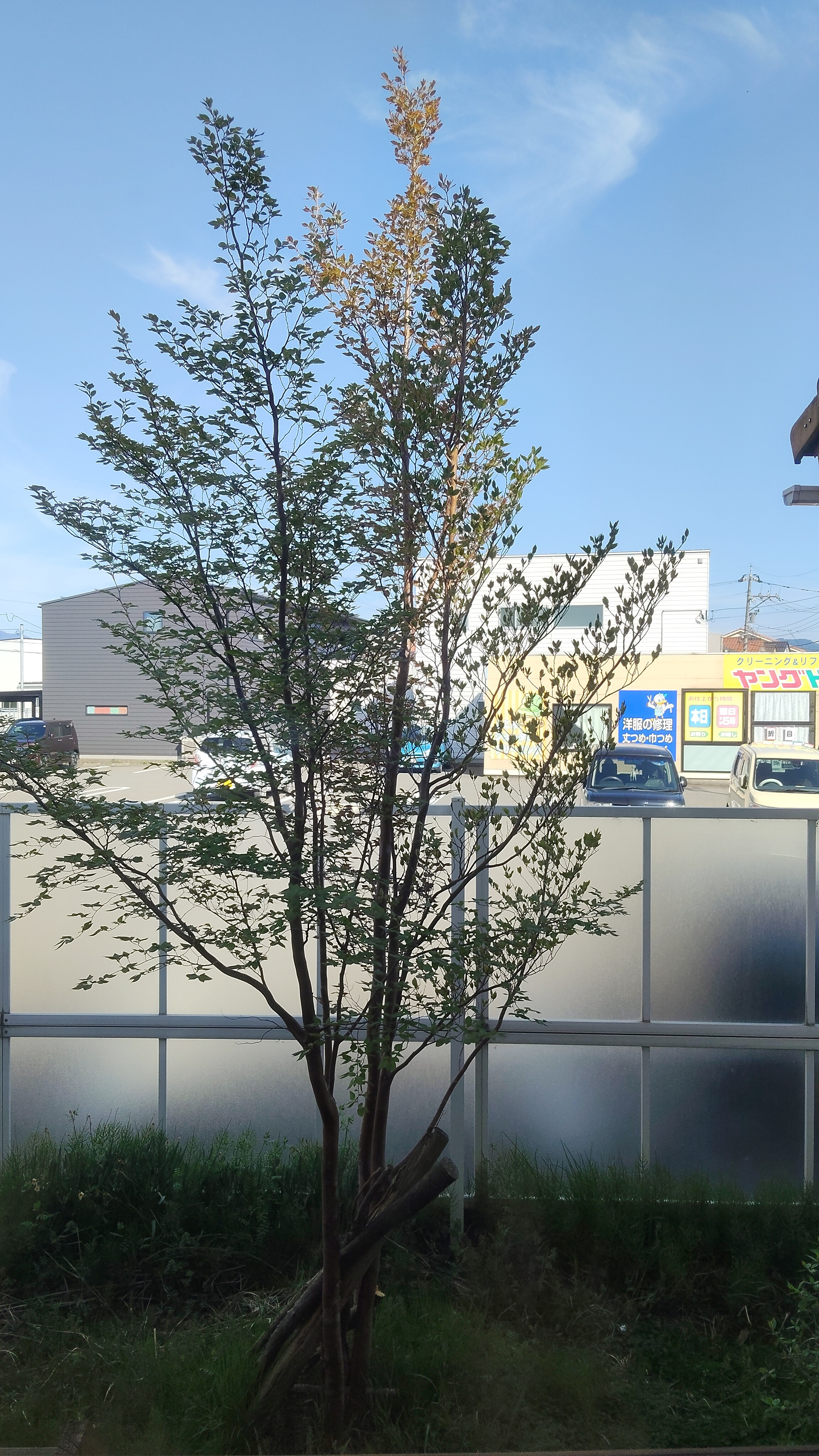 好きな事
