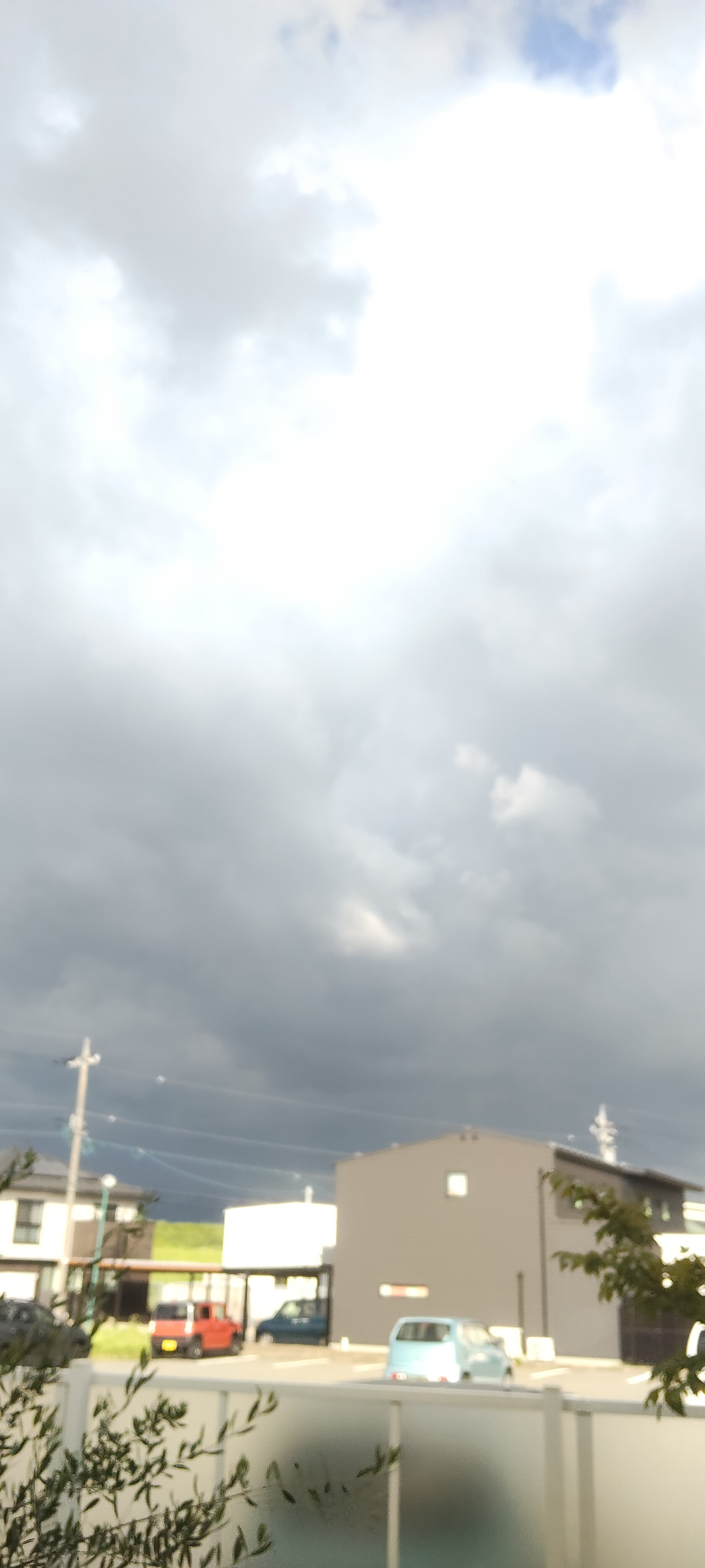 ルート