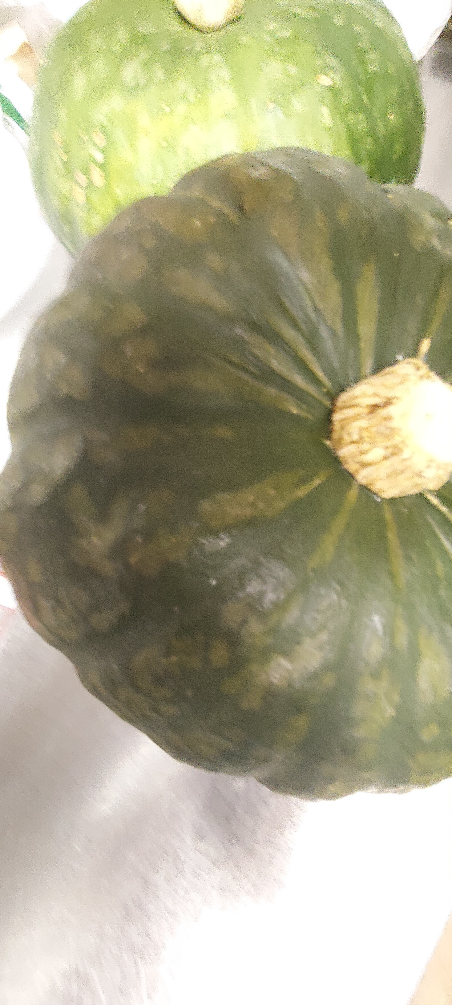 パンプキン