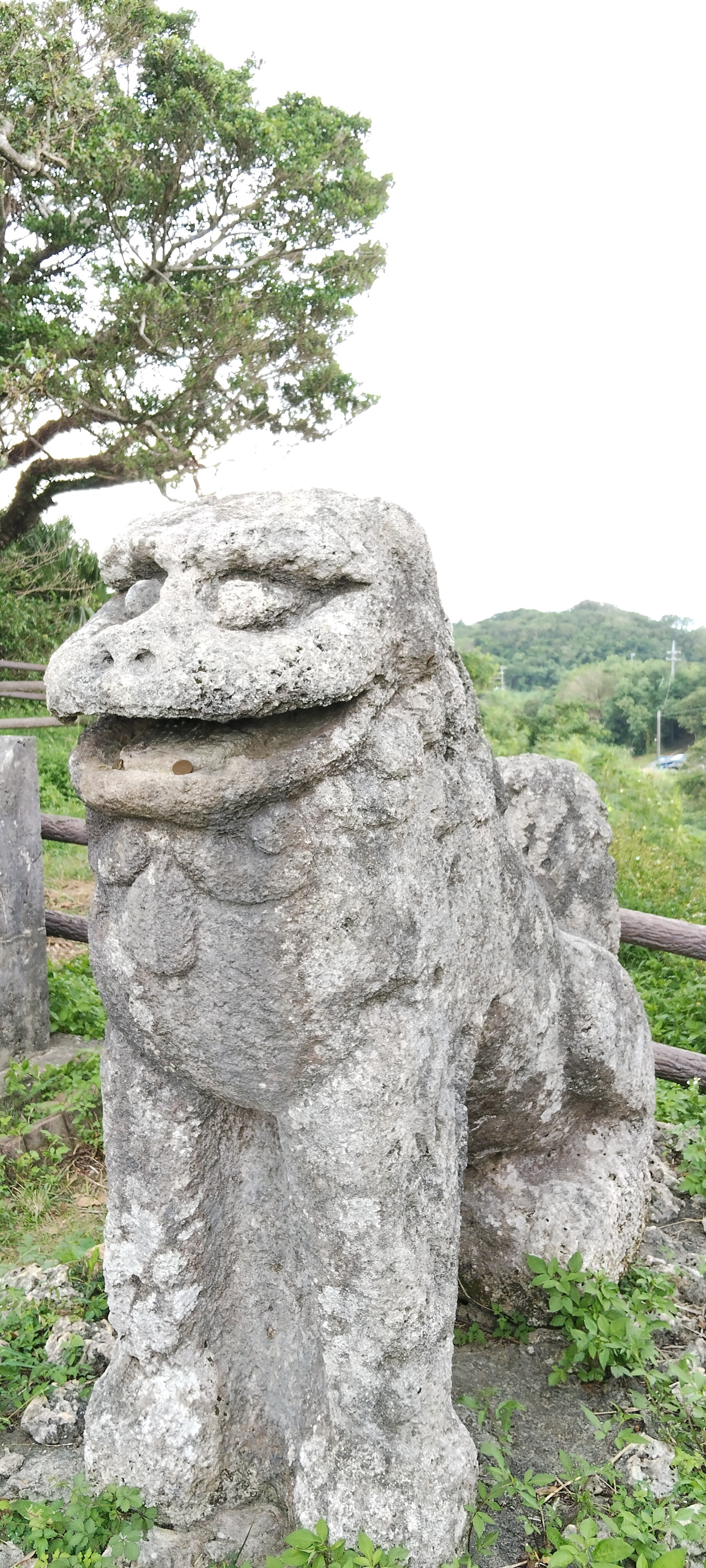 キズ跡