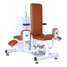 adductor_st_sm.jpg