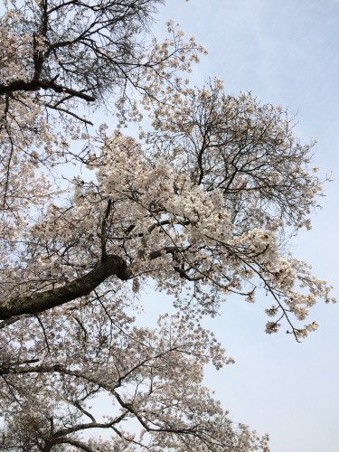 12F269E4-DA8F-44AC-ABB6-A775FF5C6662.jpeg