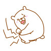 1019737.jpg