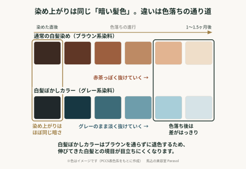 白髪ぼかし_色落ち比較図_v2.png