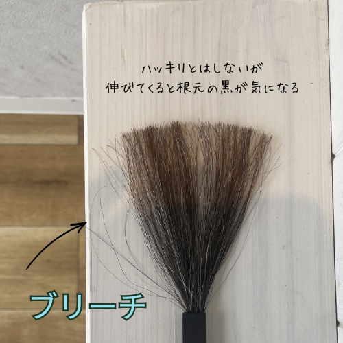 テキスト (11).png