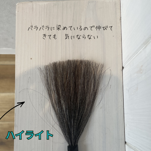 テキスト (12).png