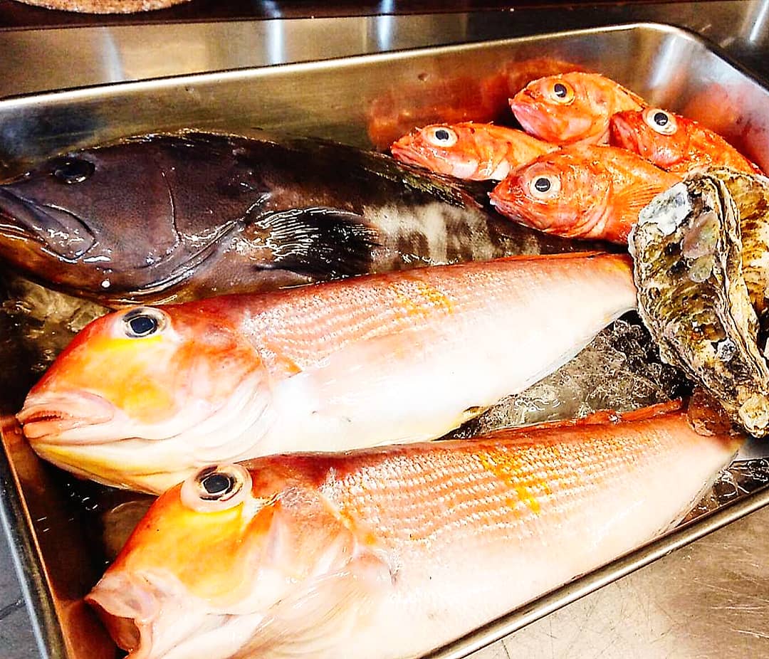 お魚料理ご紹介🐟