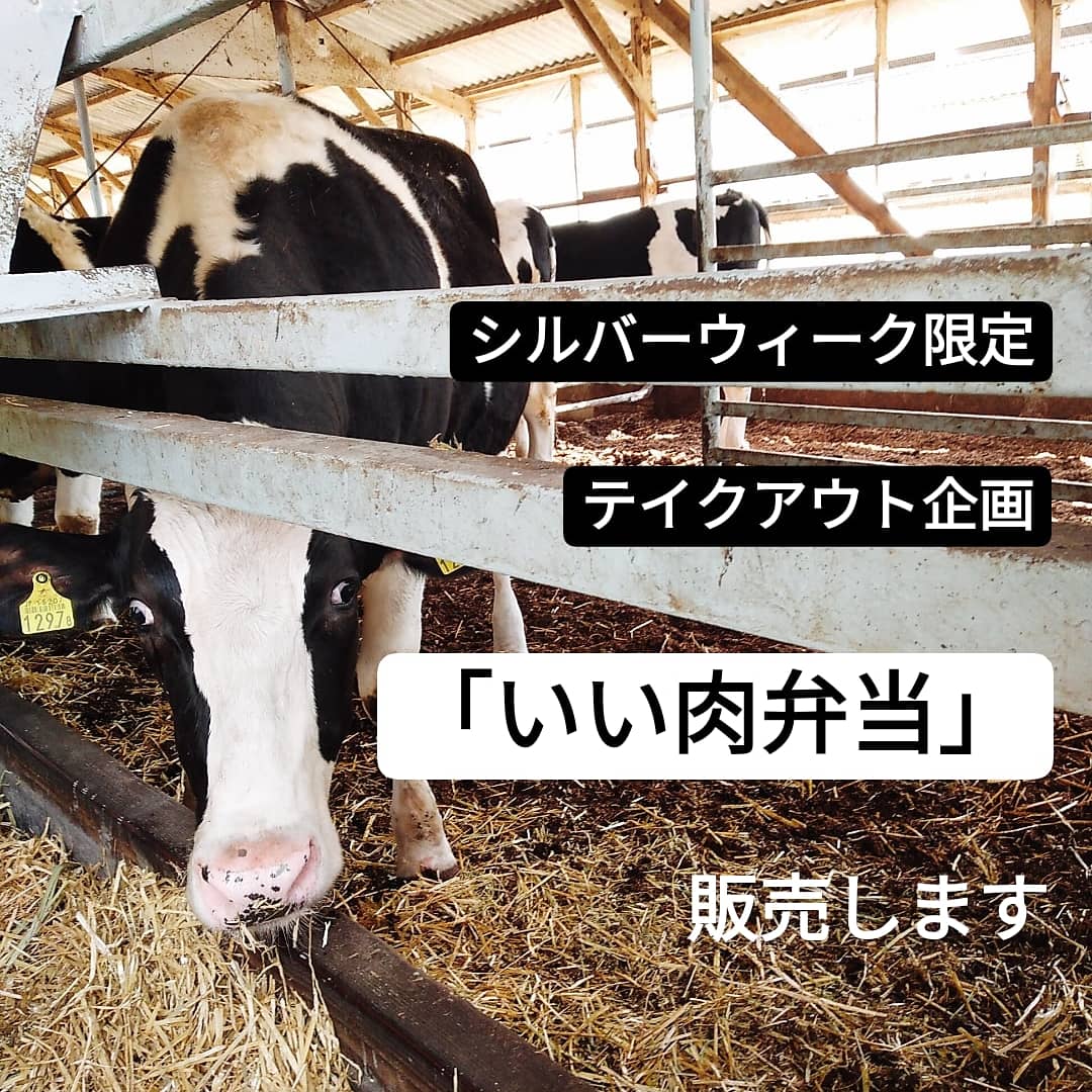 シルバーウィーク限定✨テイクアウト企画「いい肉弁当」販売のお知らせ